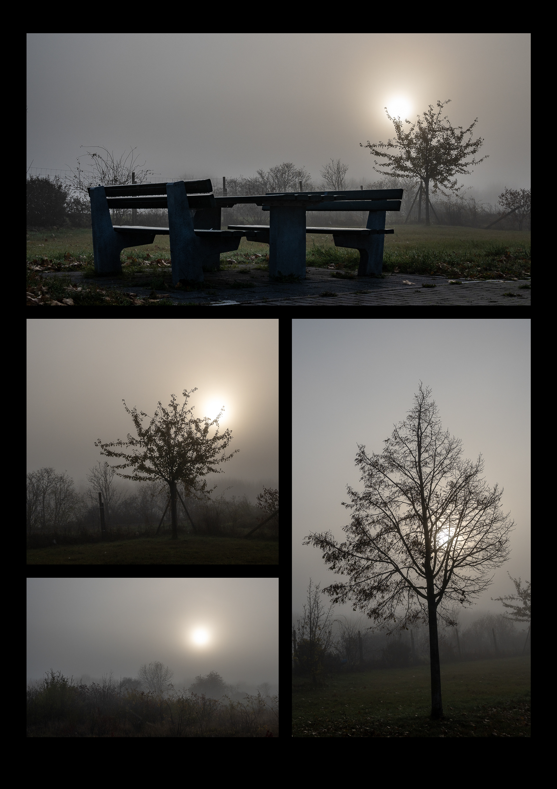 Tag 315: Grau in grau