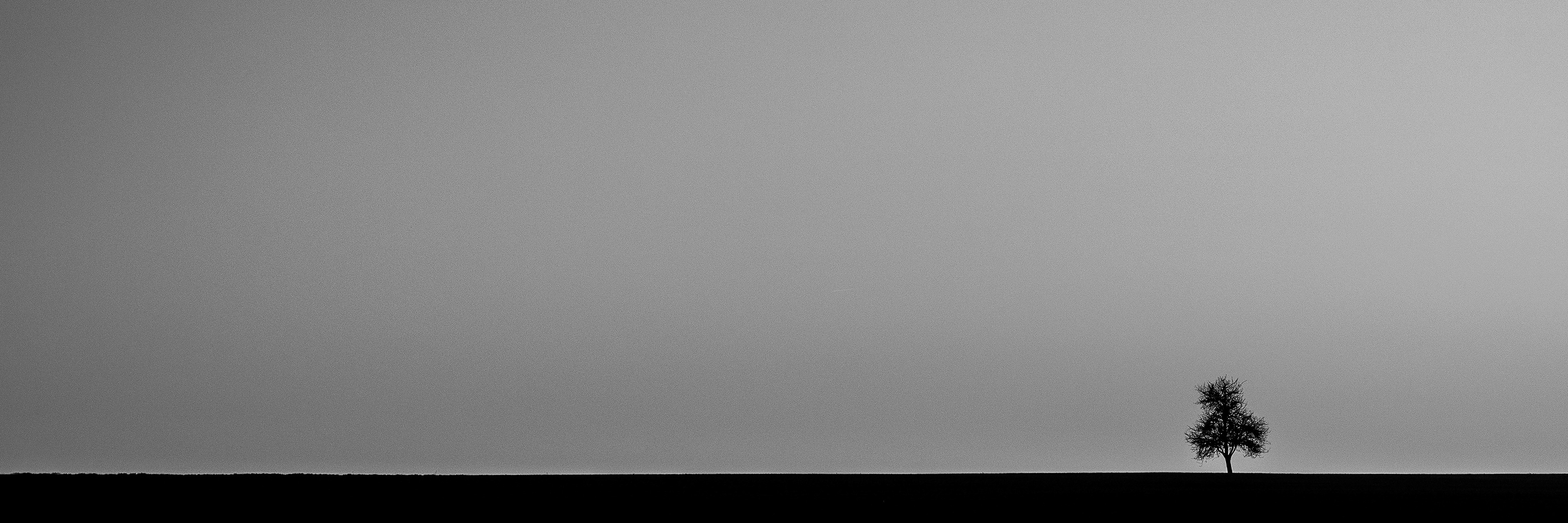 Tag 64: klares Hauptmotiv