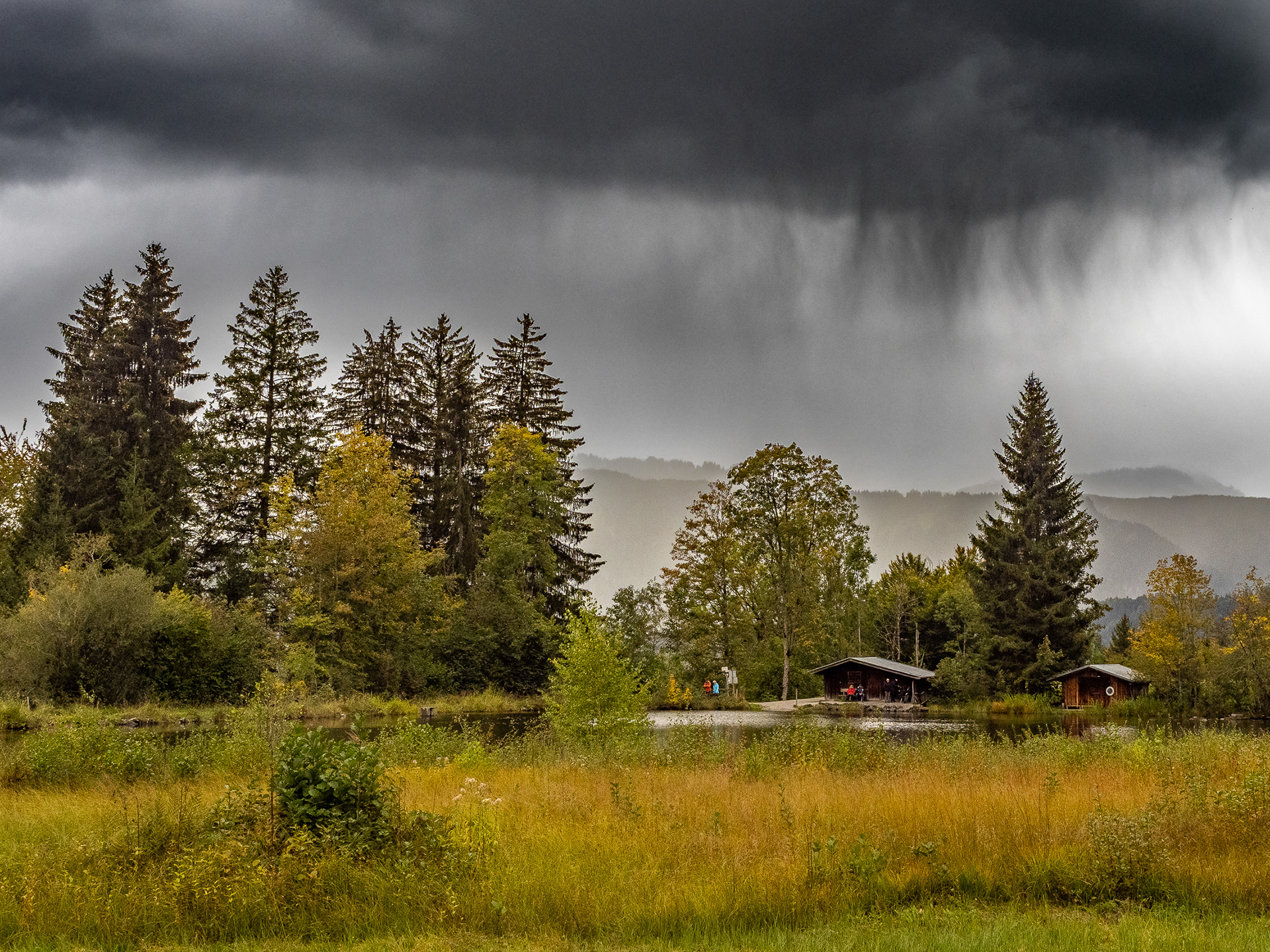 6. Saurer Regen