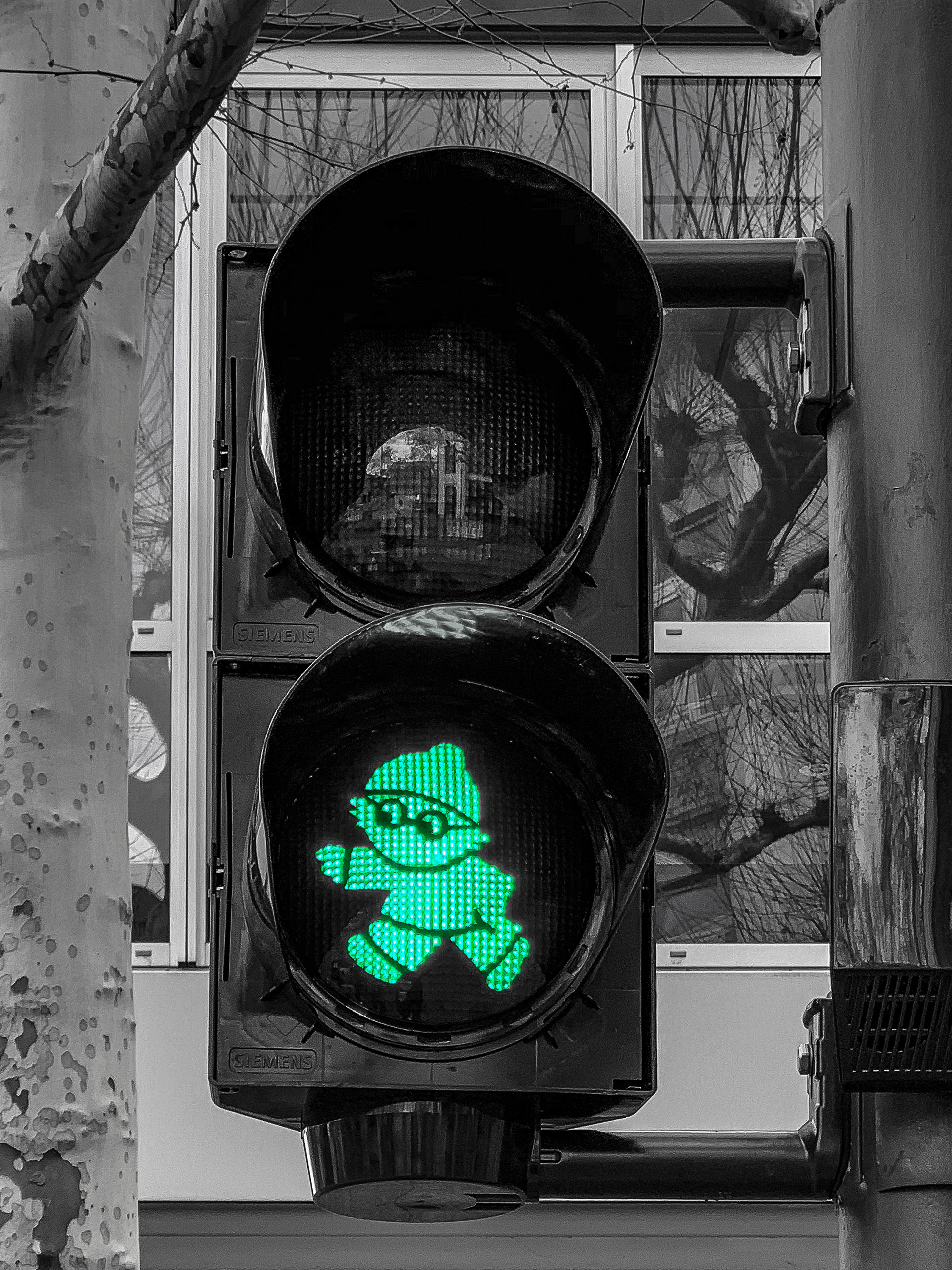 Tag 66: die Farbe grün