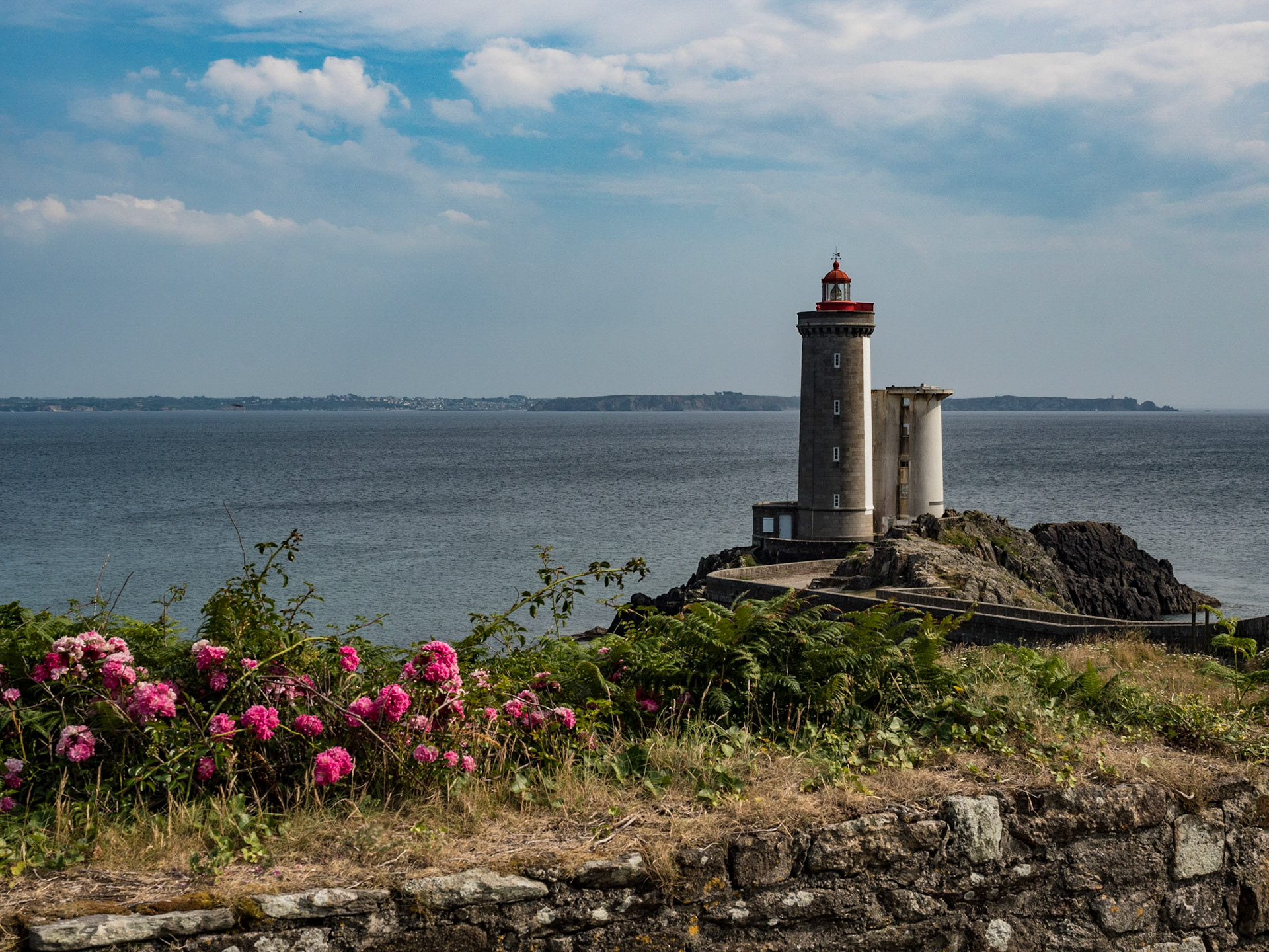 Blumenpracht am Phare du Petit Minou