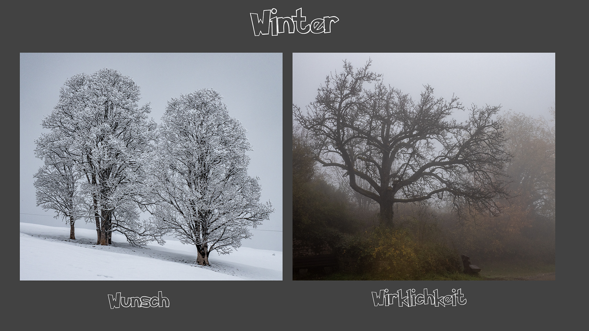 Tag 343: Winter