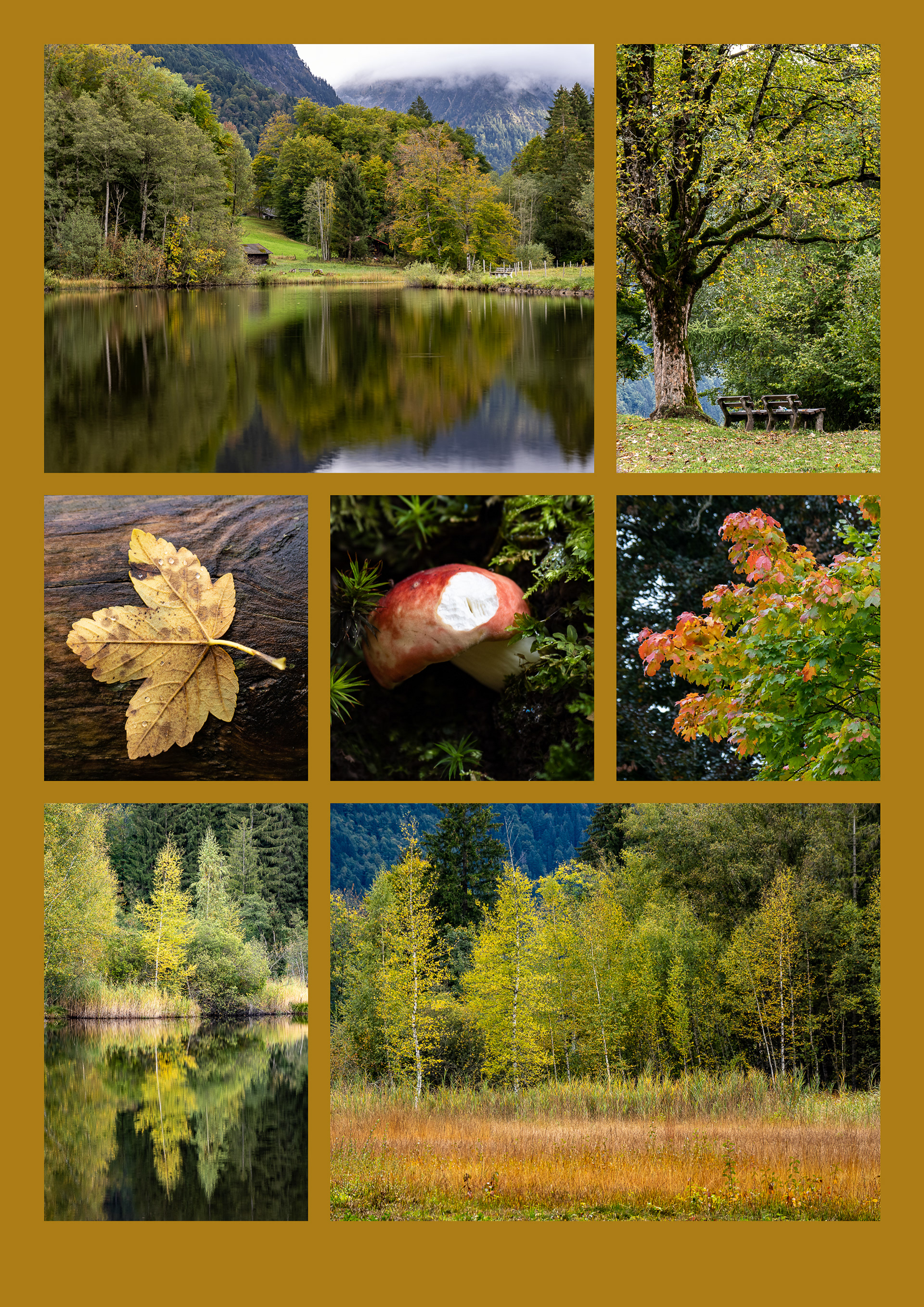 Tag 280: Herbst