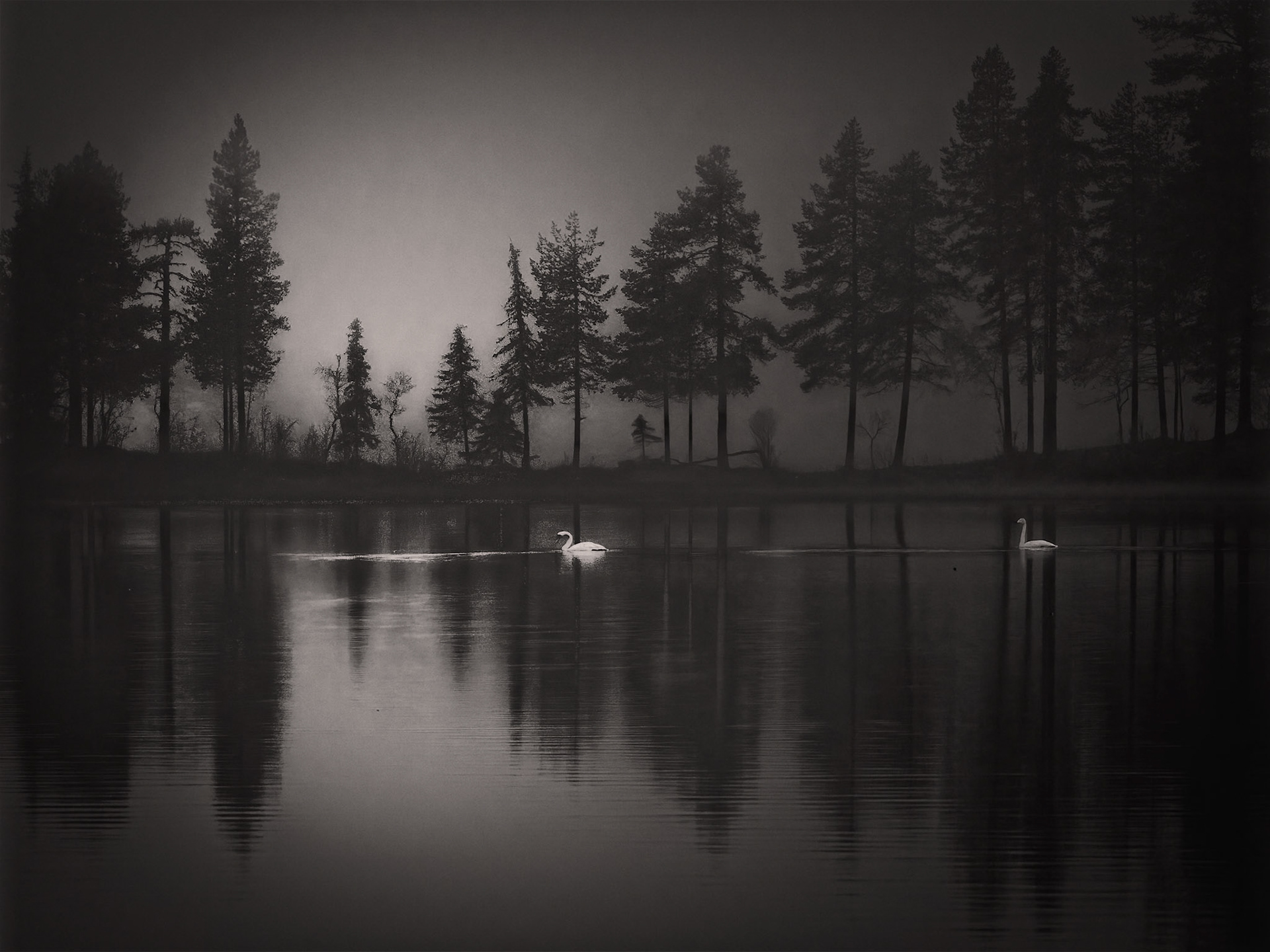 Projekt 40 - Magische Schwarzweiss-Fotografie