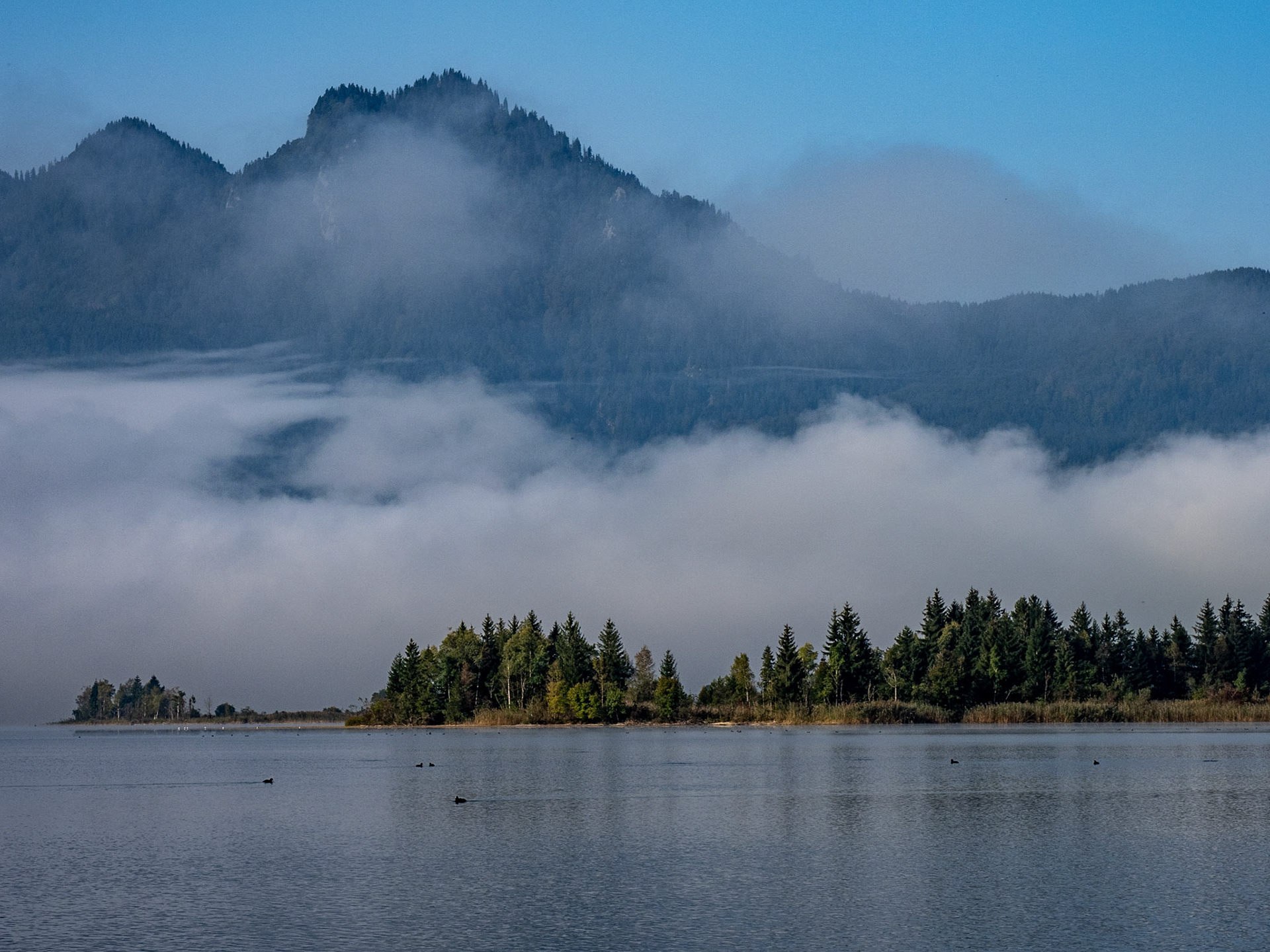 Kochelsee
