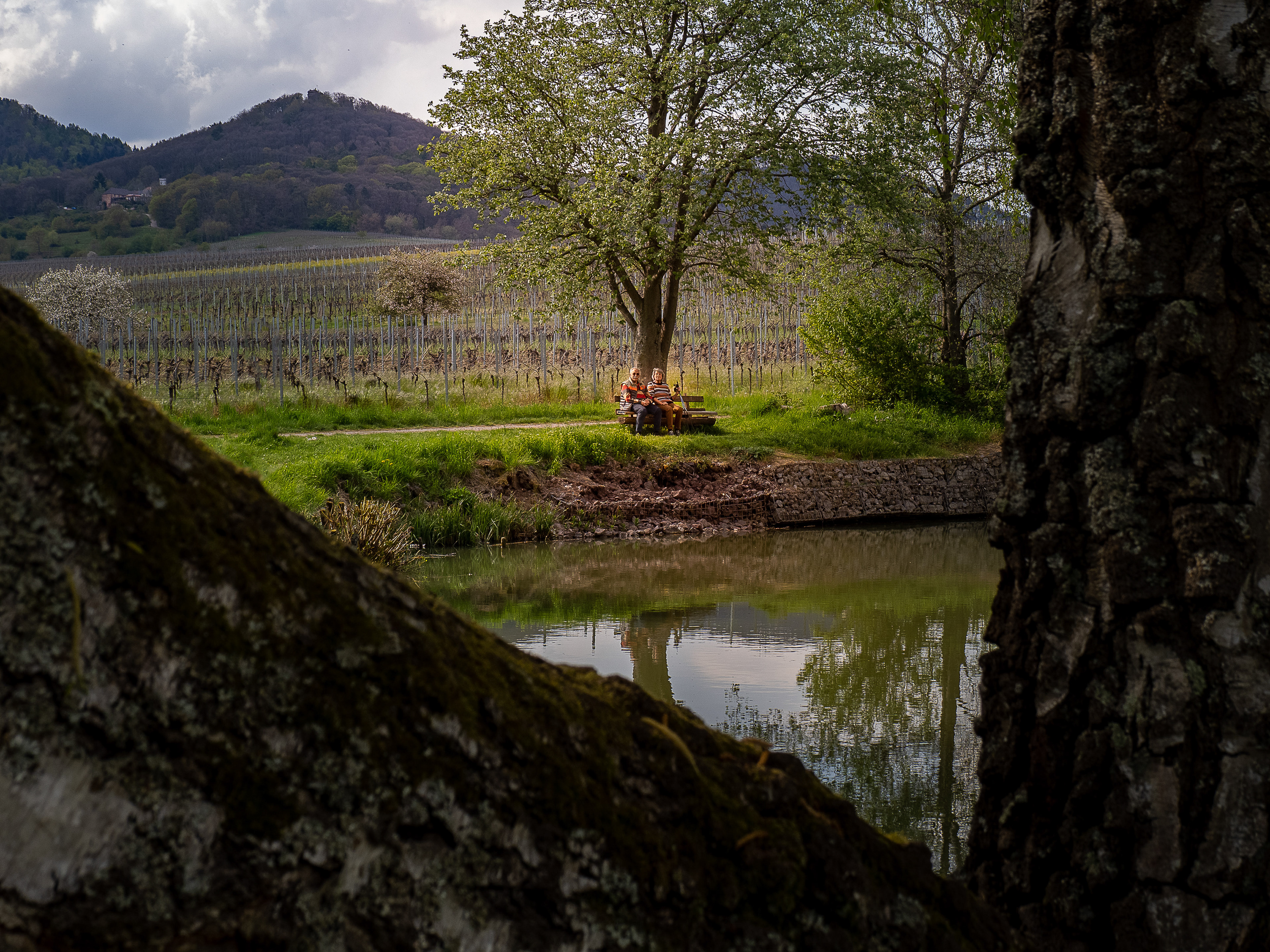 Tag 139: Akzentuierung