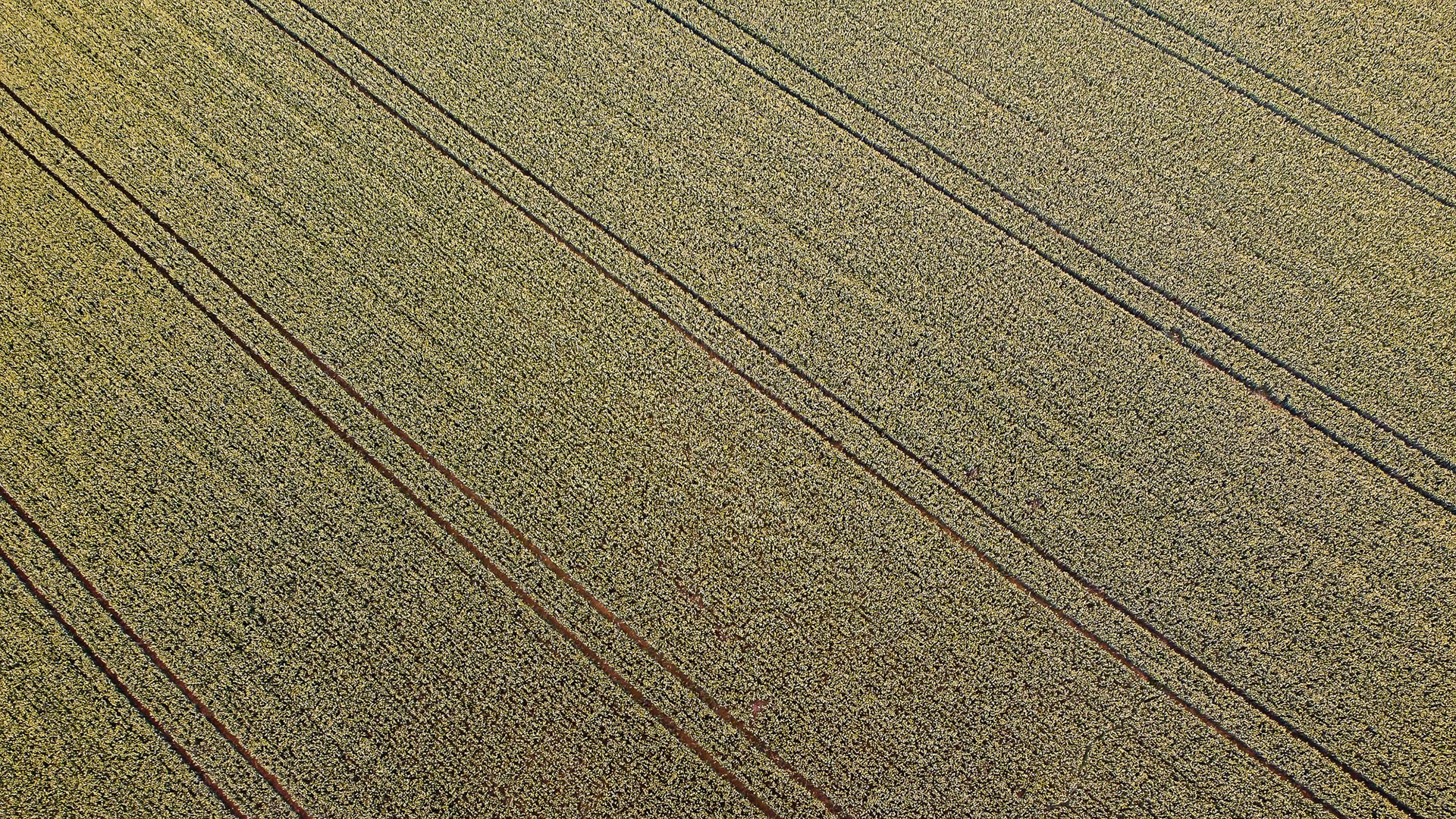 Tag 186: Linien im Alltag