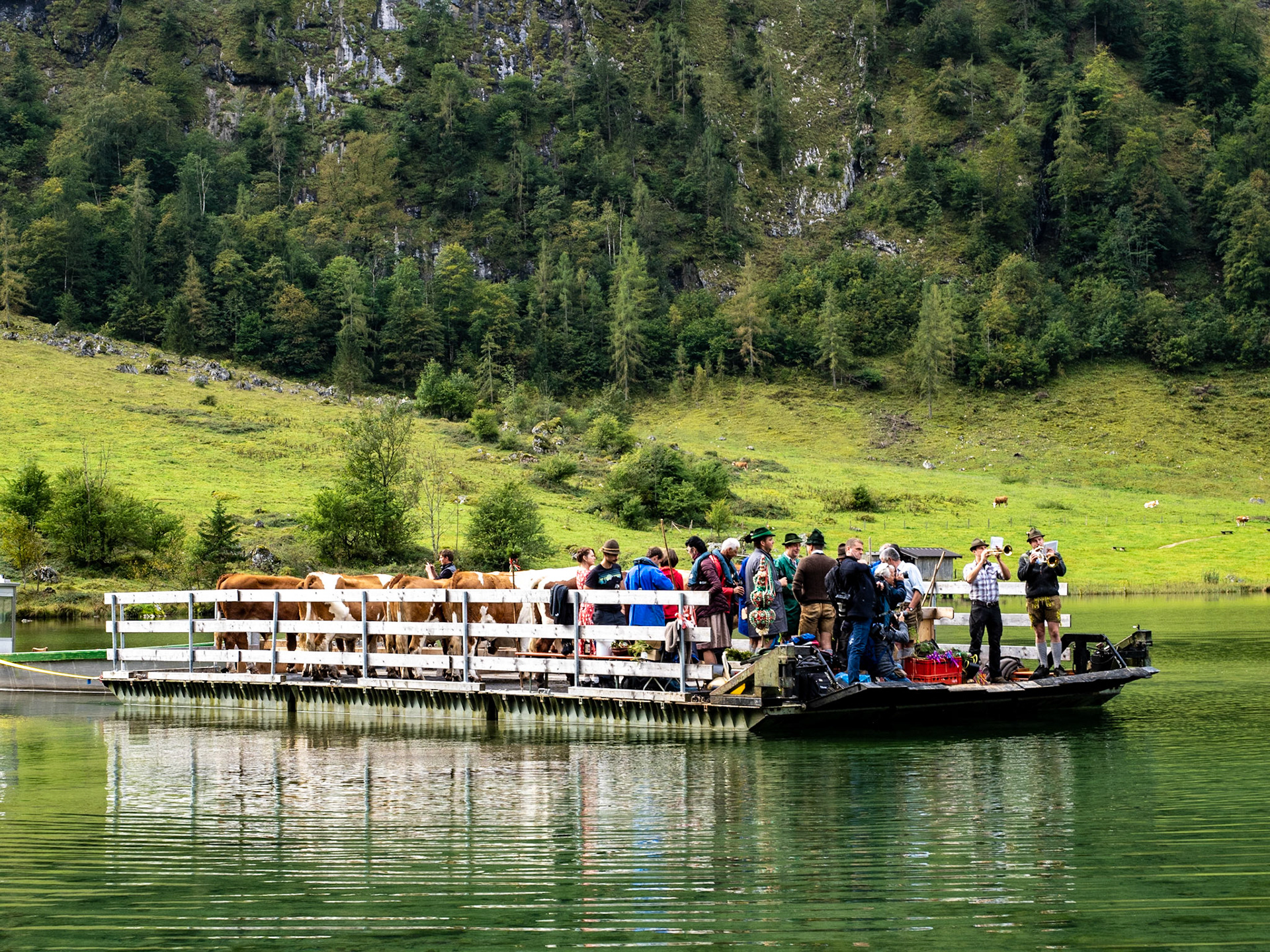 Almabtrieb über den Königsee