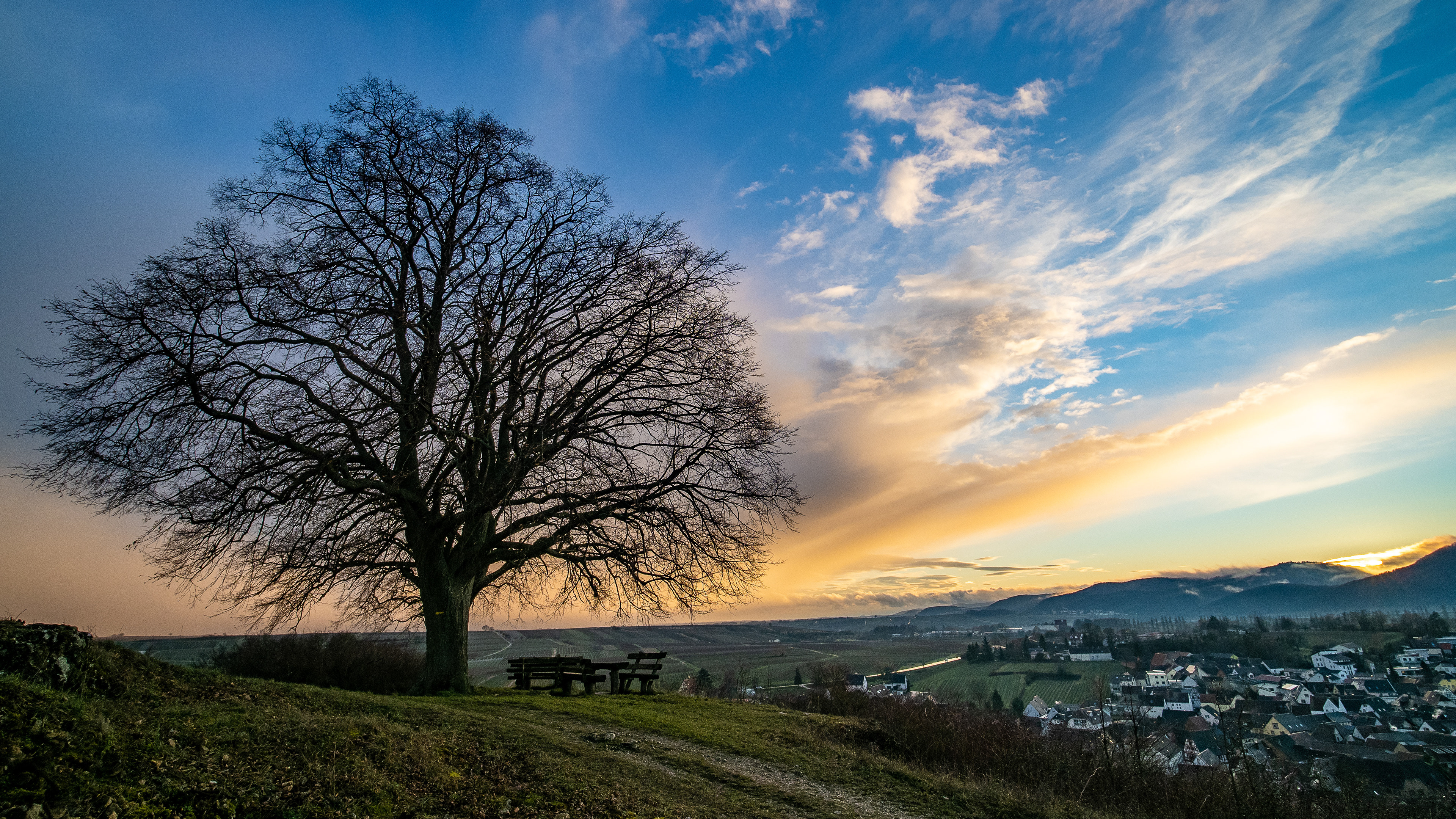 Tag 41: Fotografiere deinen Lieblingsort