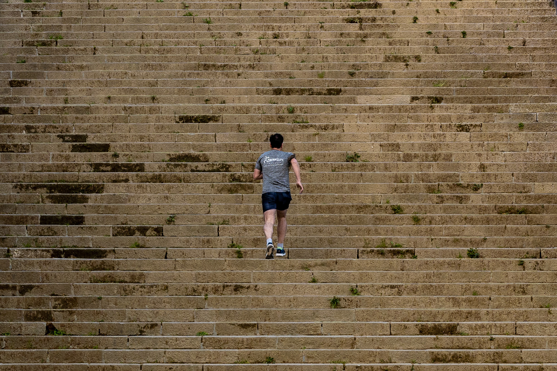 Morgens im Olympiapark