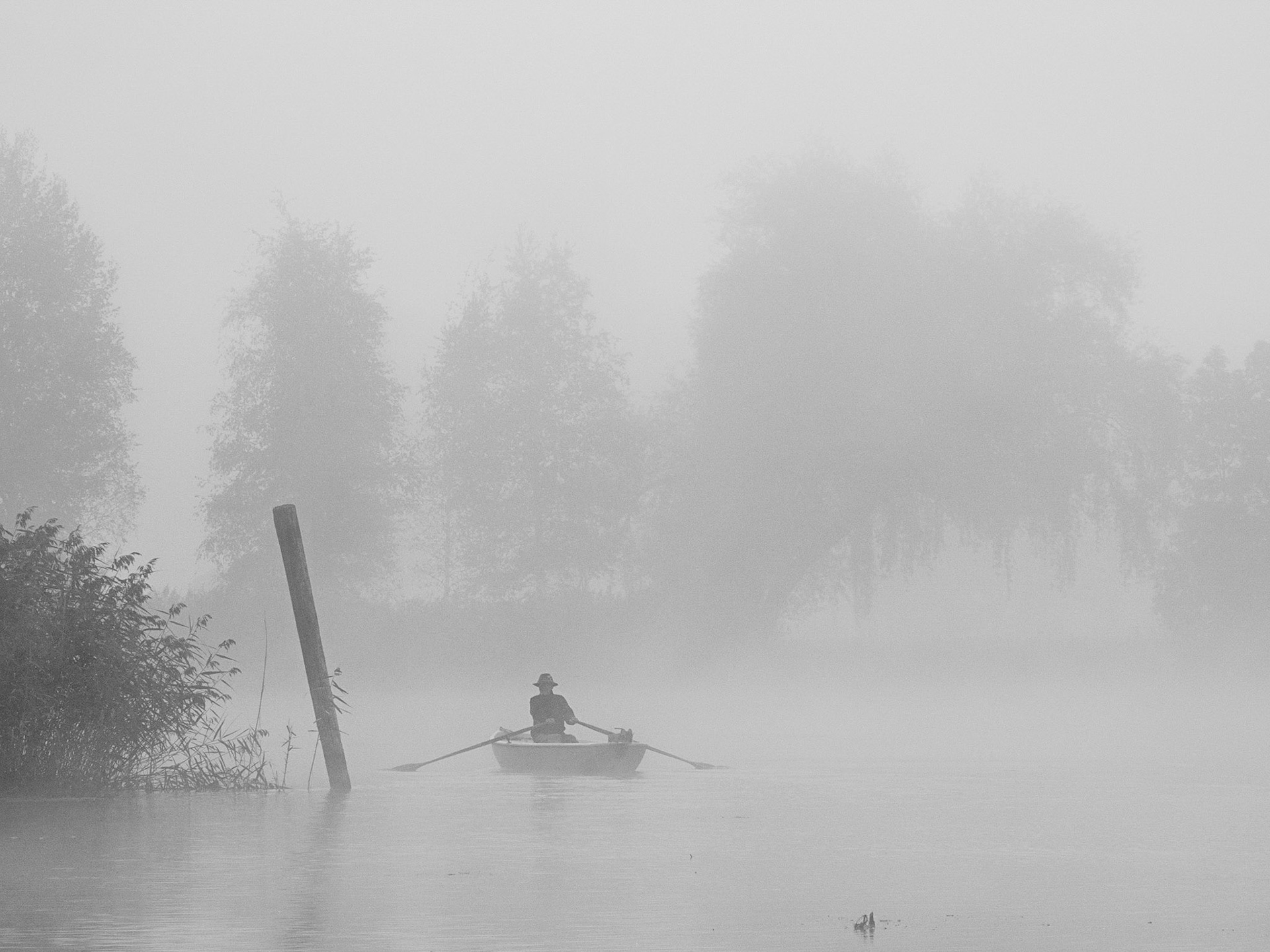 Morgennebel am Kochelsee