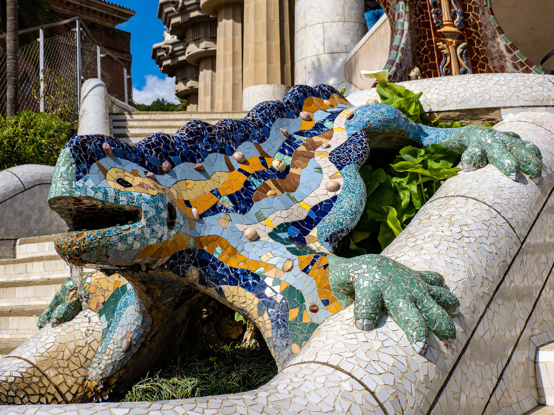 Das berühmteste Tier Barcelonas