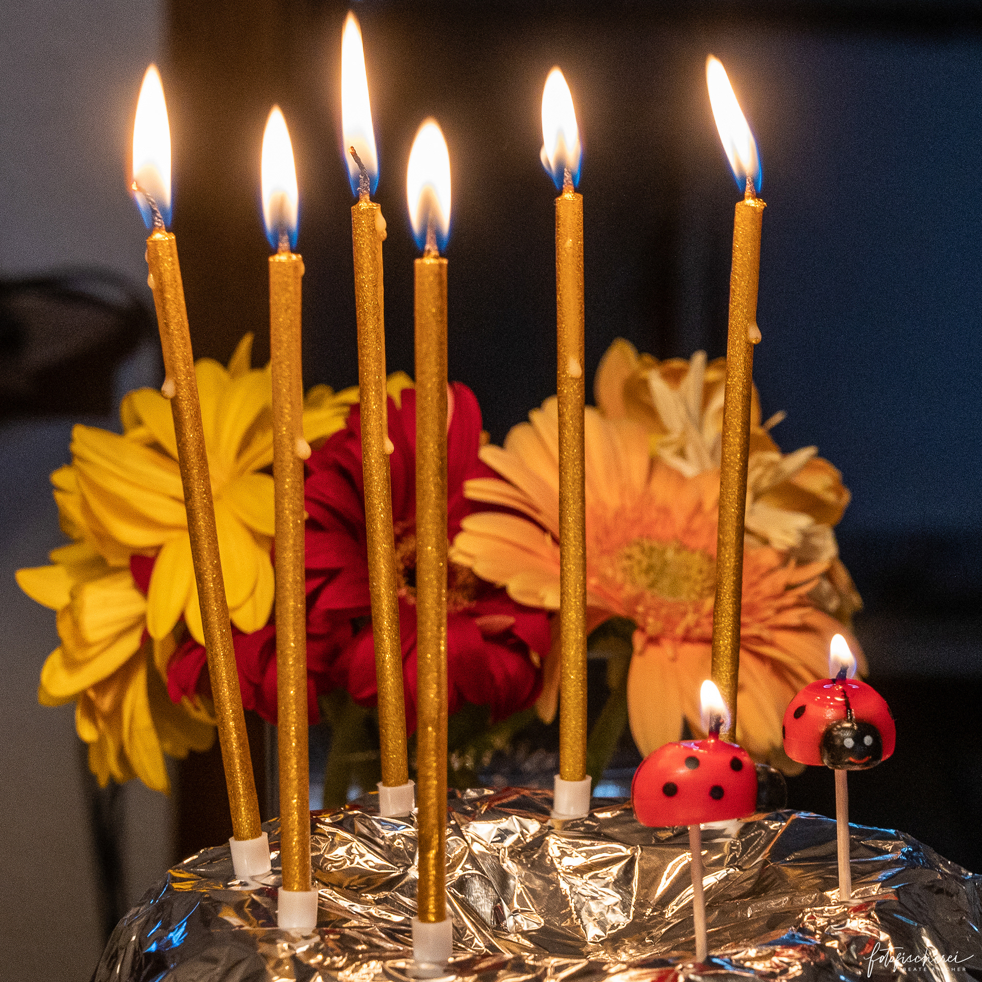 Geburtstag