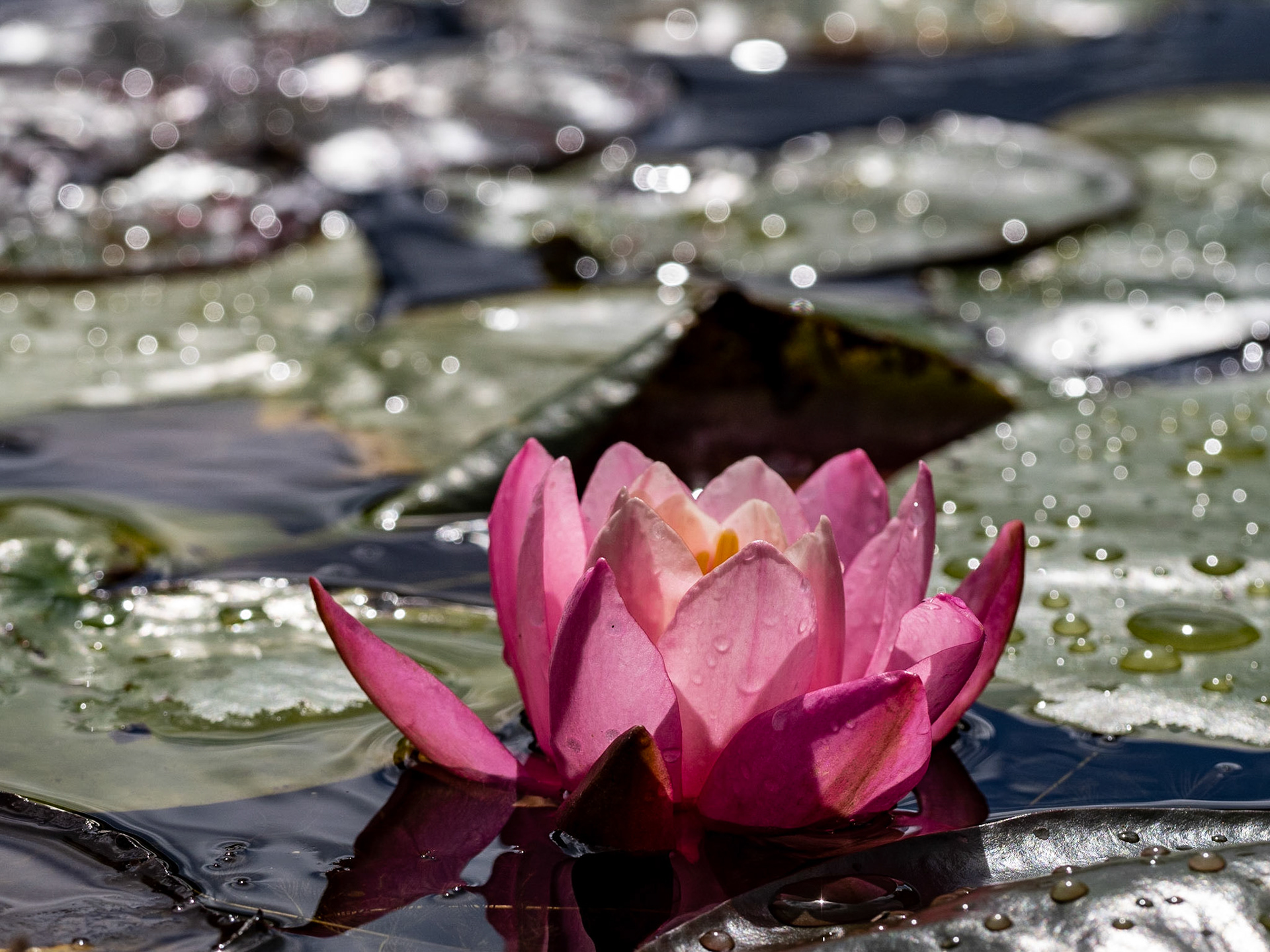 Botanischer Garten Augsburg