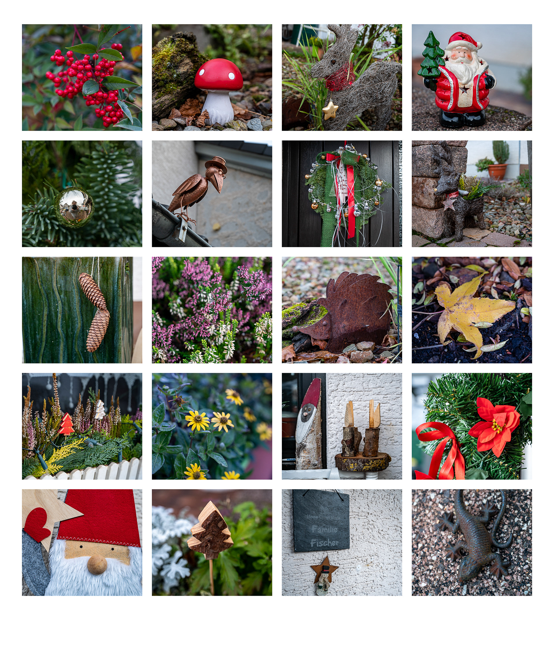 Tag 339: Fotos im Kreis