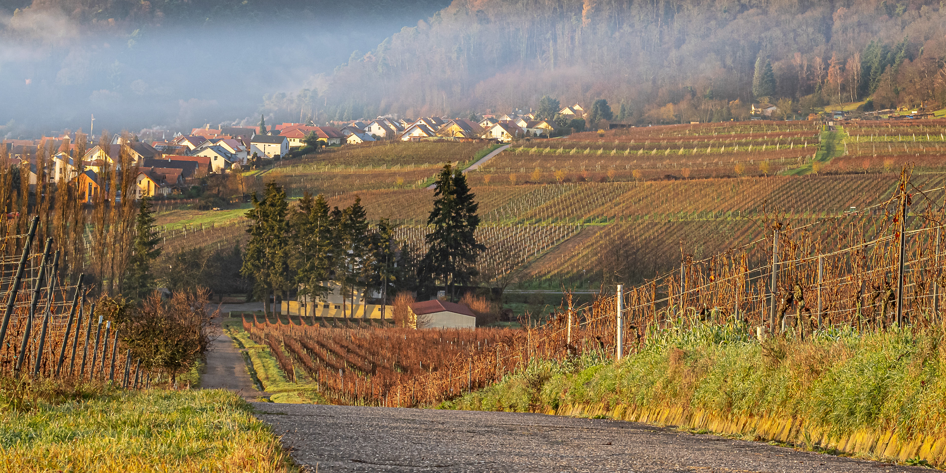 Tag 30: Landschaftsfoto ohne Horizont