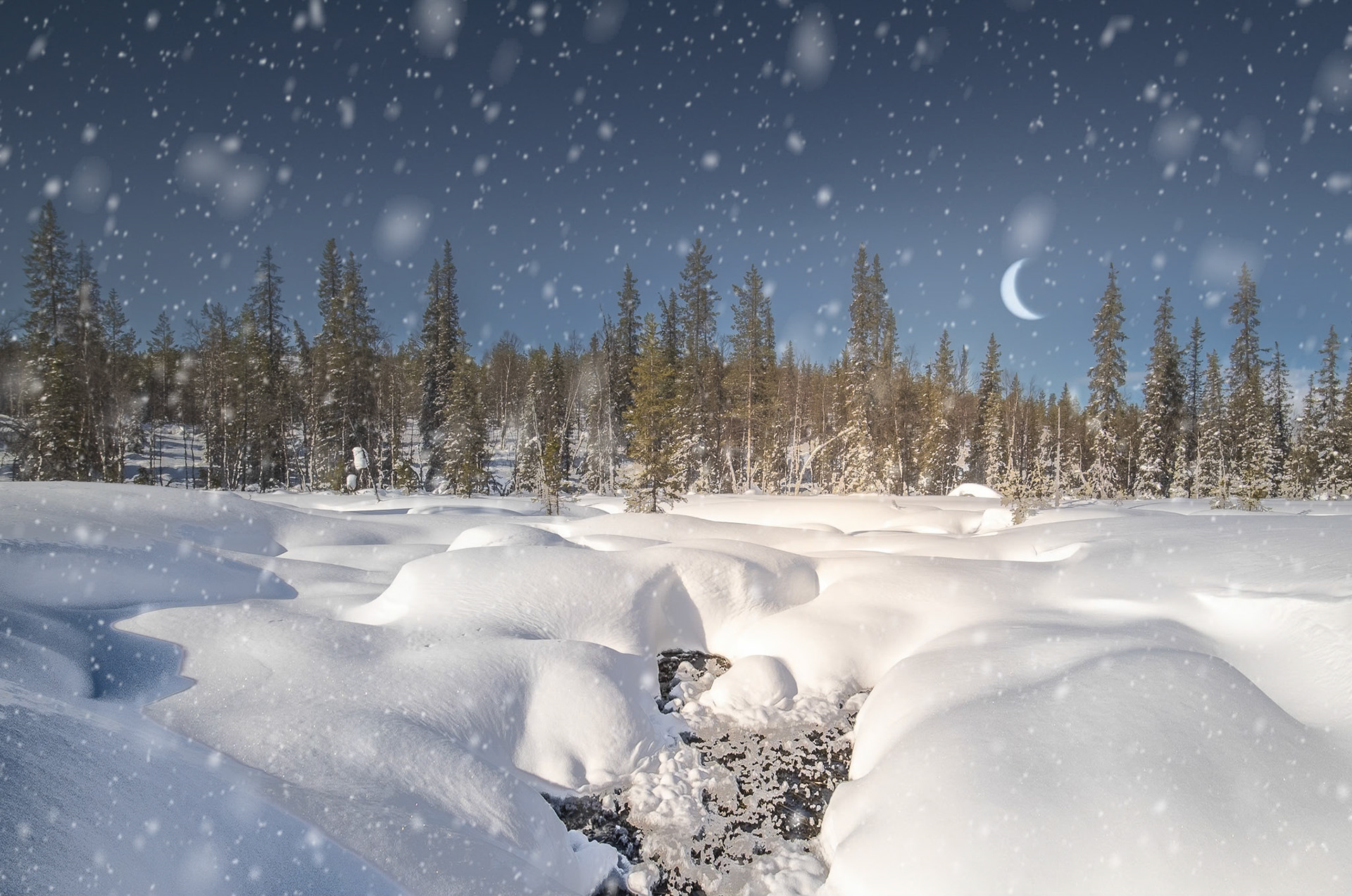 Projekt 39 - Winter-Wonderland