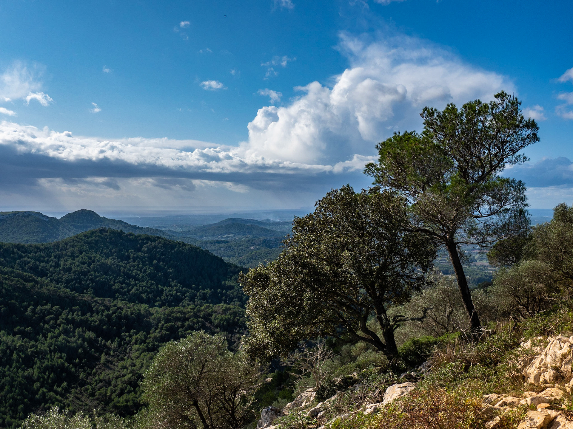 Berge und Meer