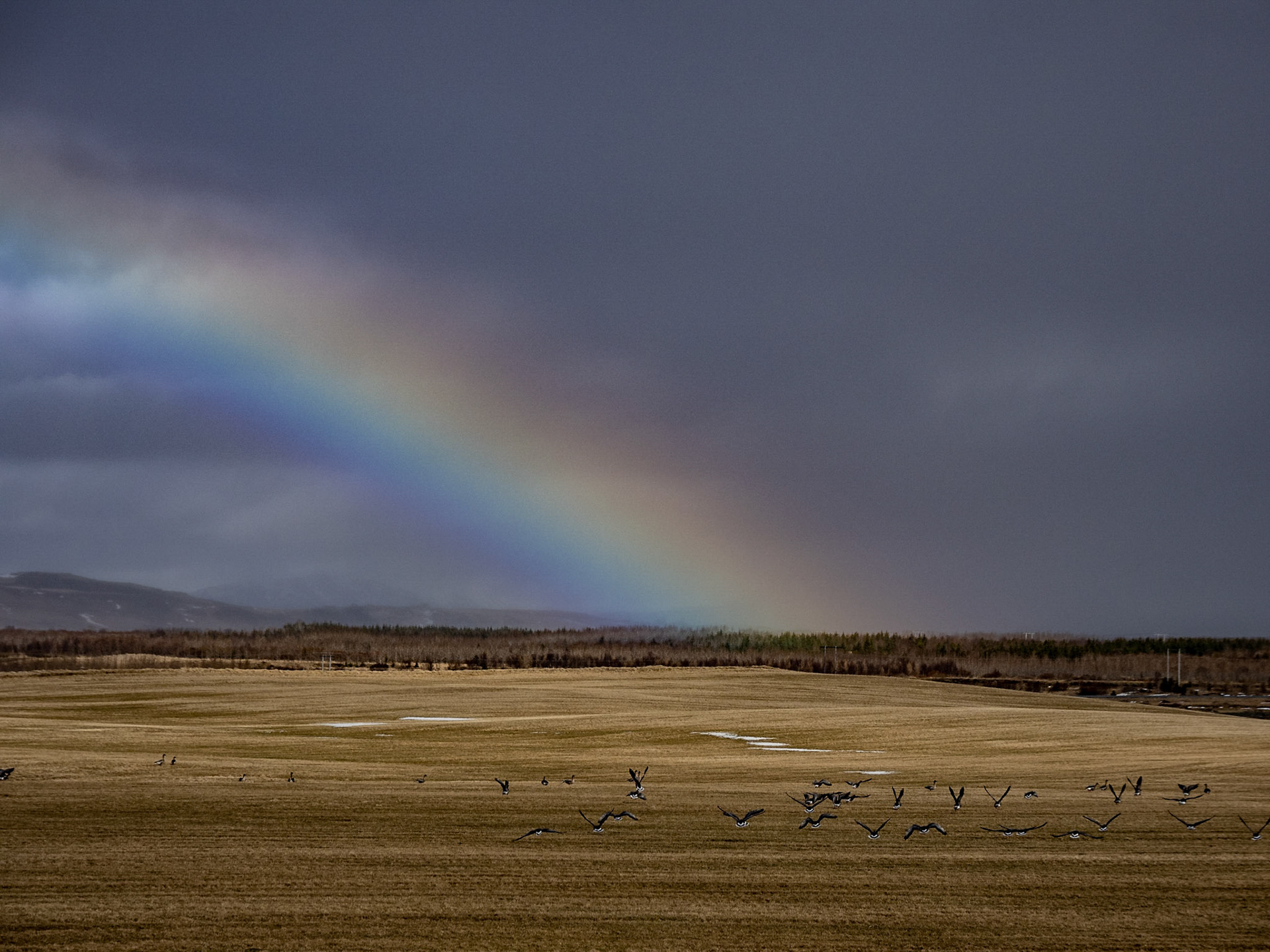 Wetter wechsel neben der Ringstraße