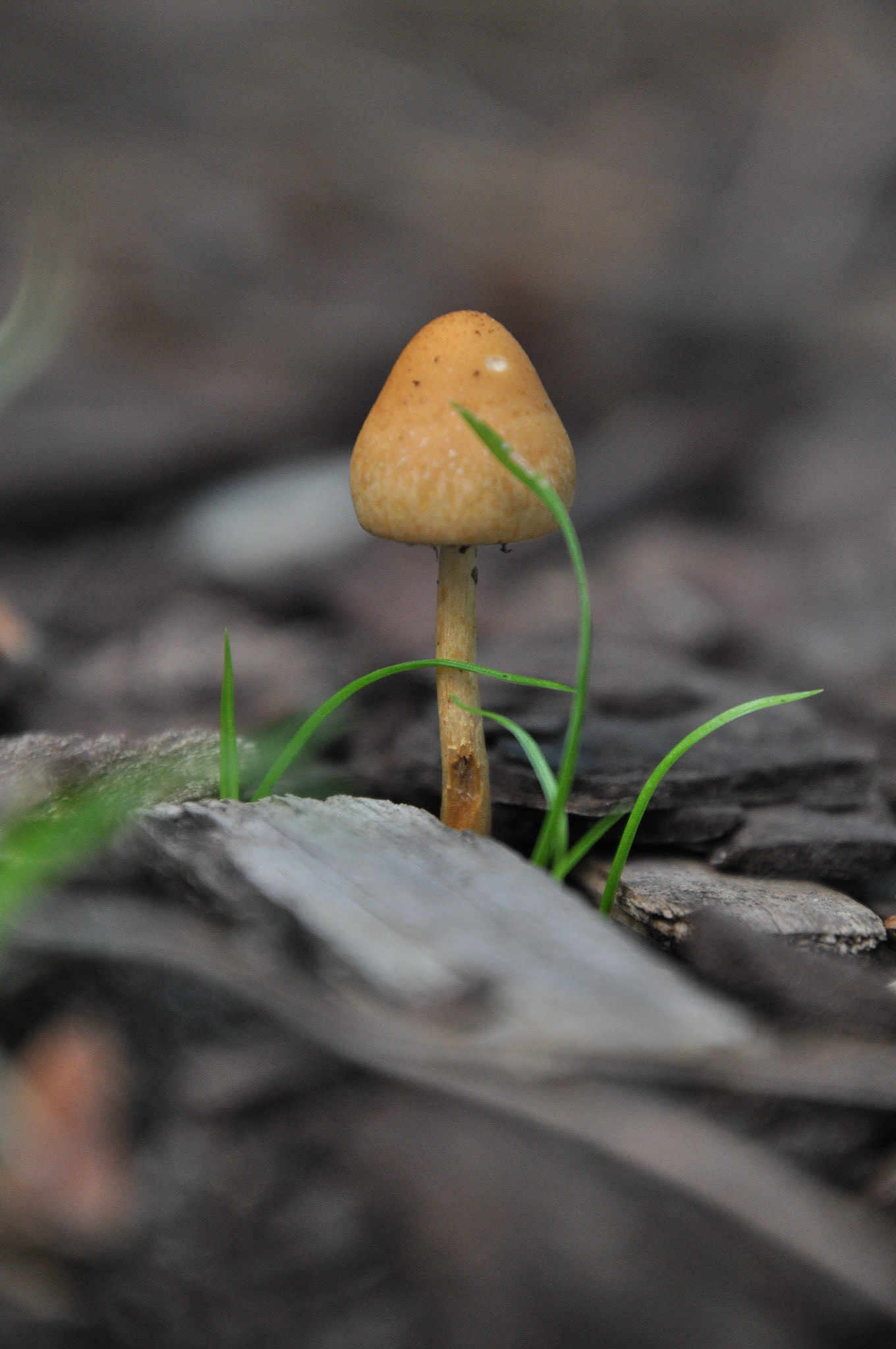 Aufgabe 5: Makro