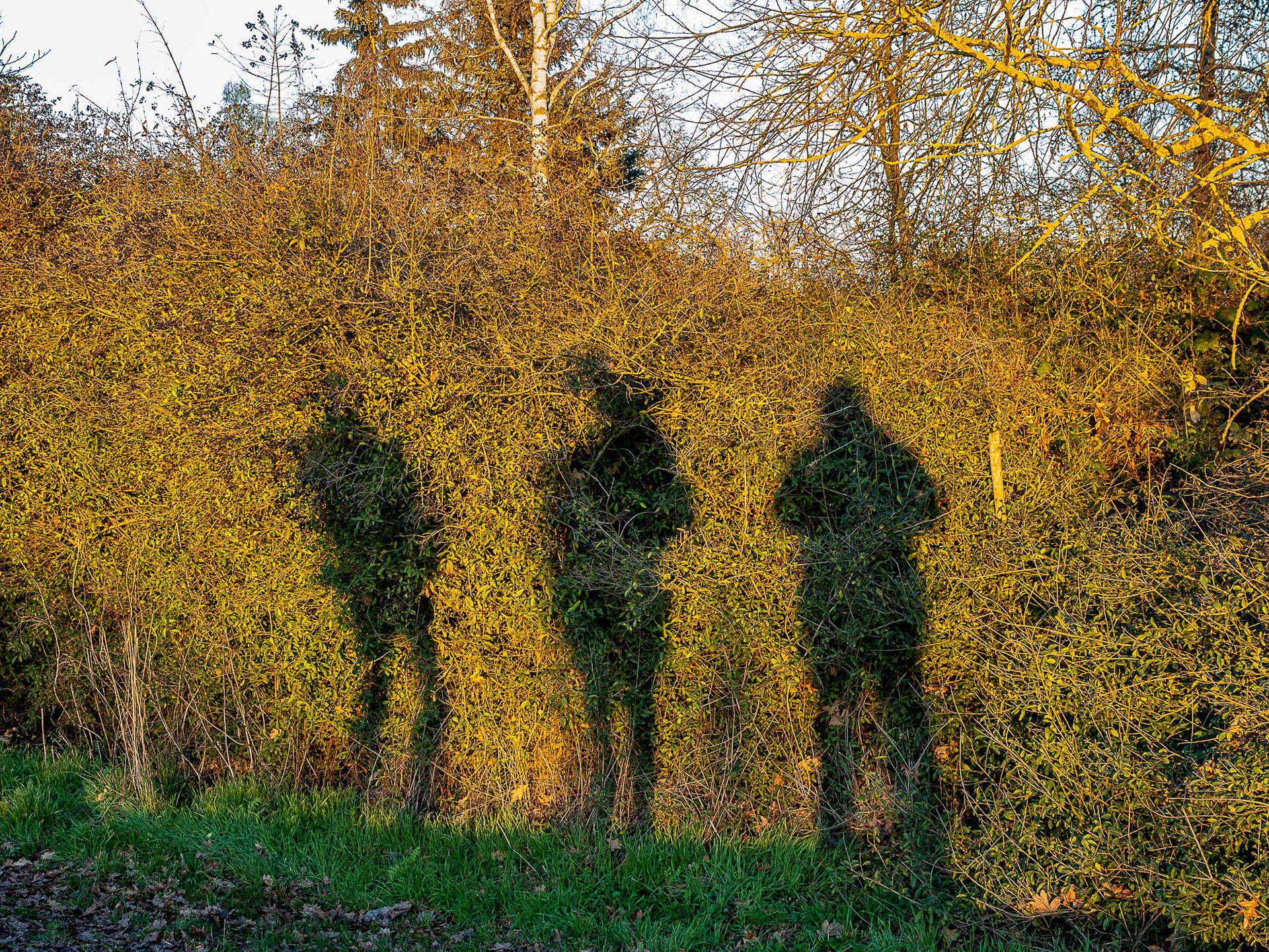 Tag 206: Fotografiere, wer du bist