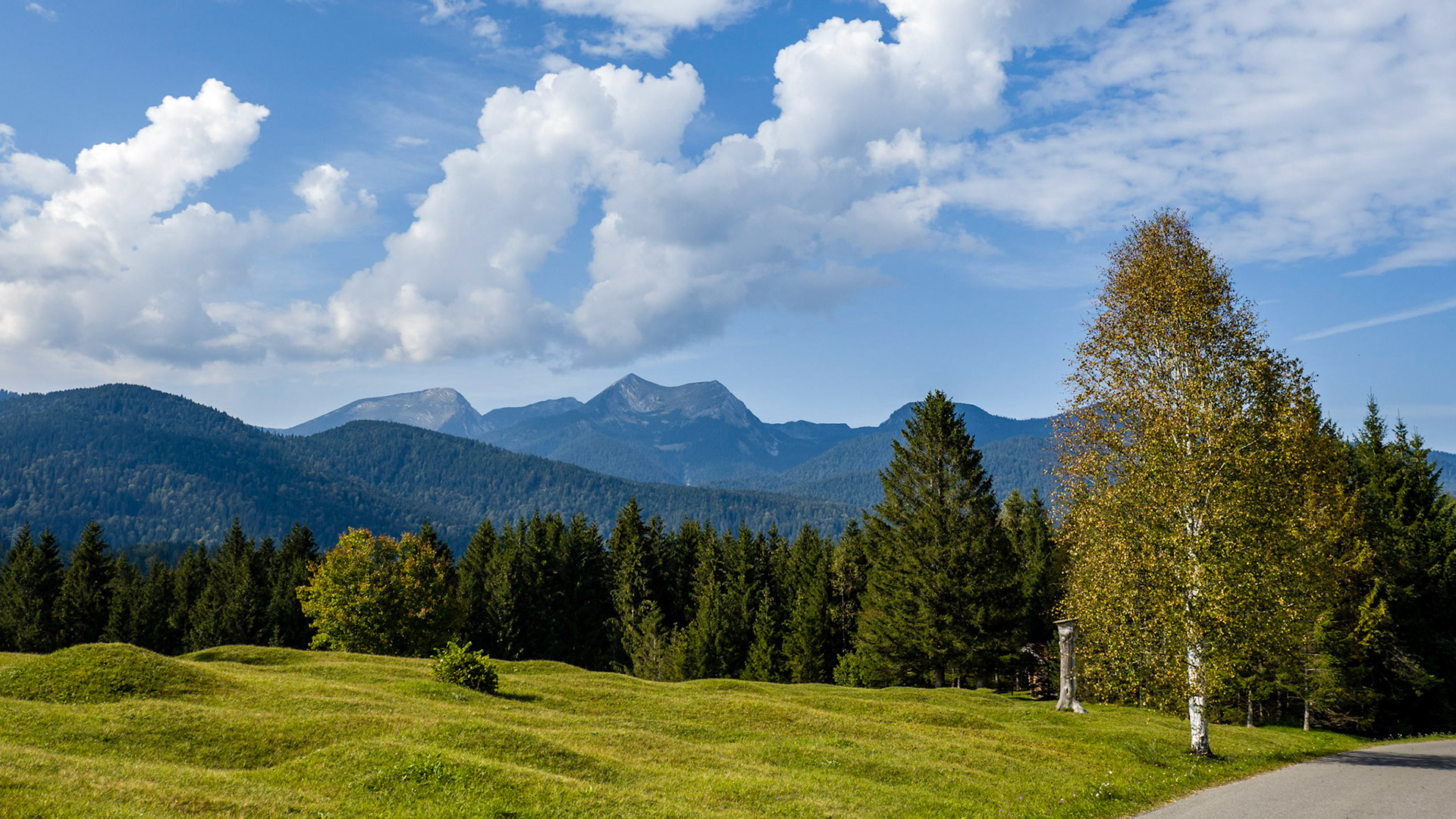 Buckelwiesen am Tennsee