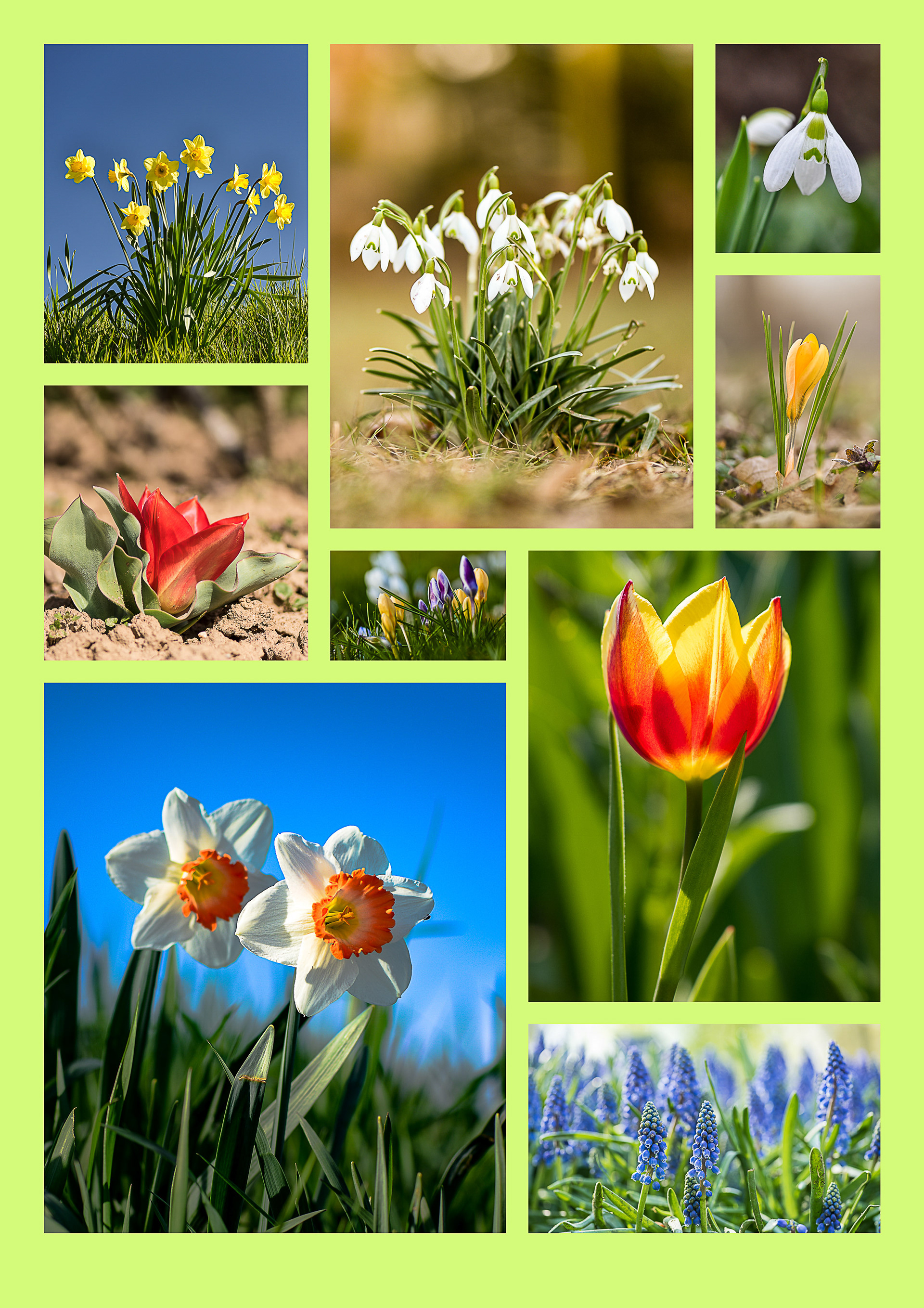 Tag 91: Frühling