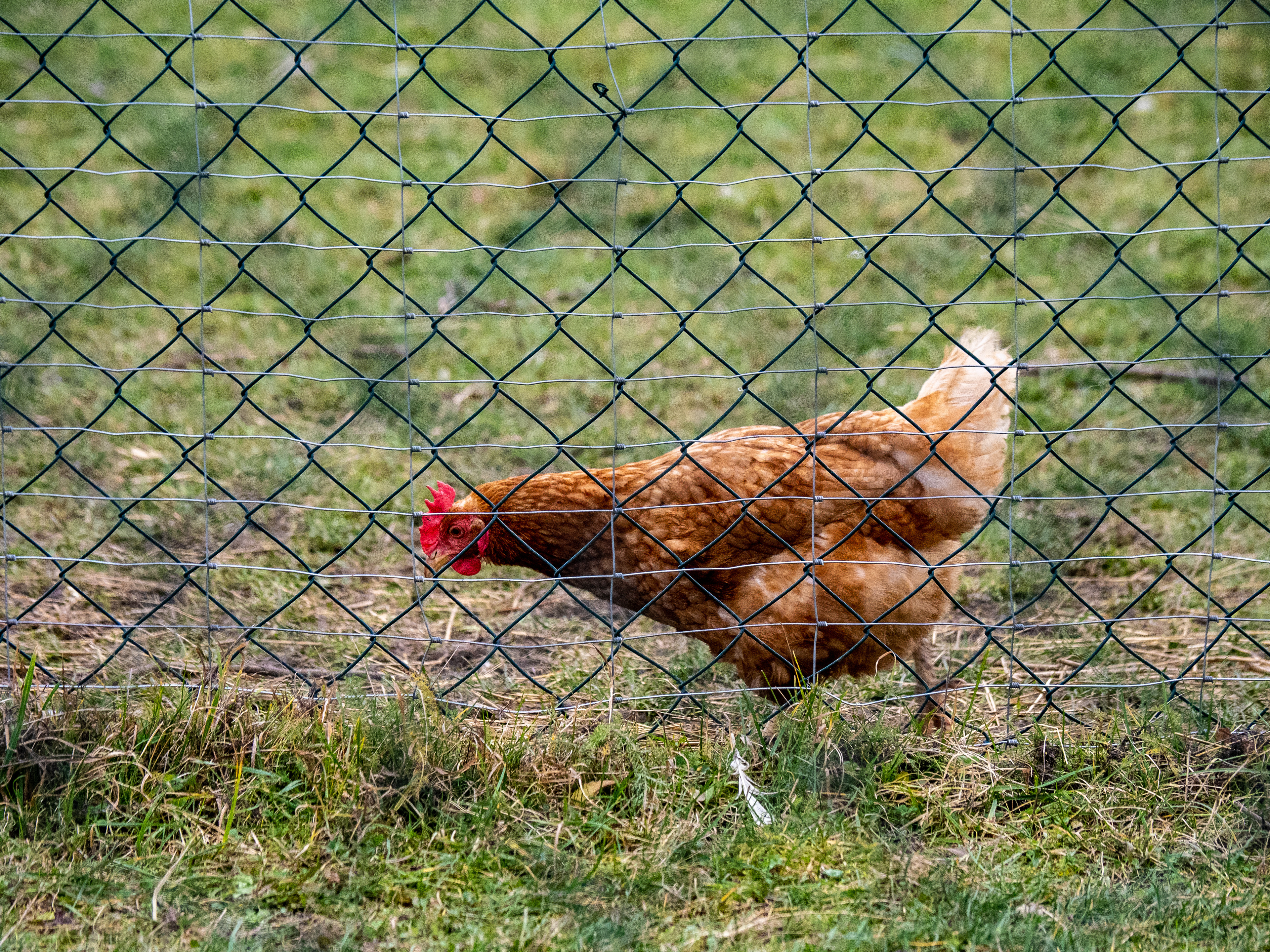 3. Getrennt und abgeschieden