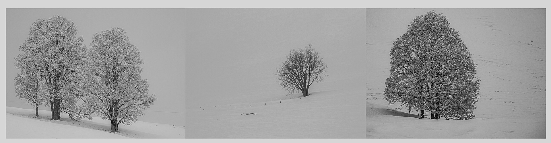 Tag 40 Foto-Domino