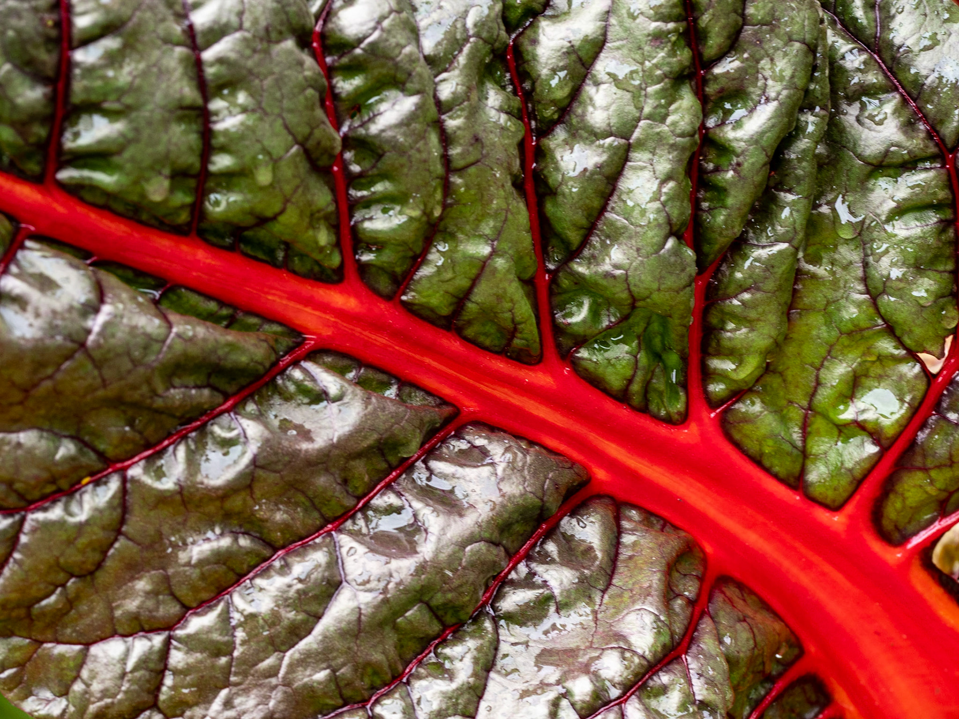 Botanischer Garten Augsburg