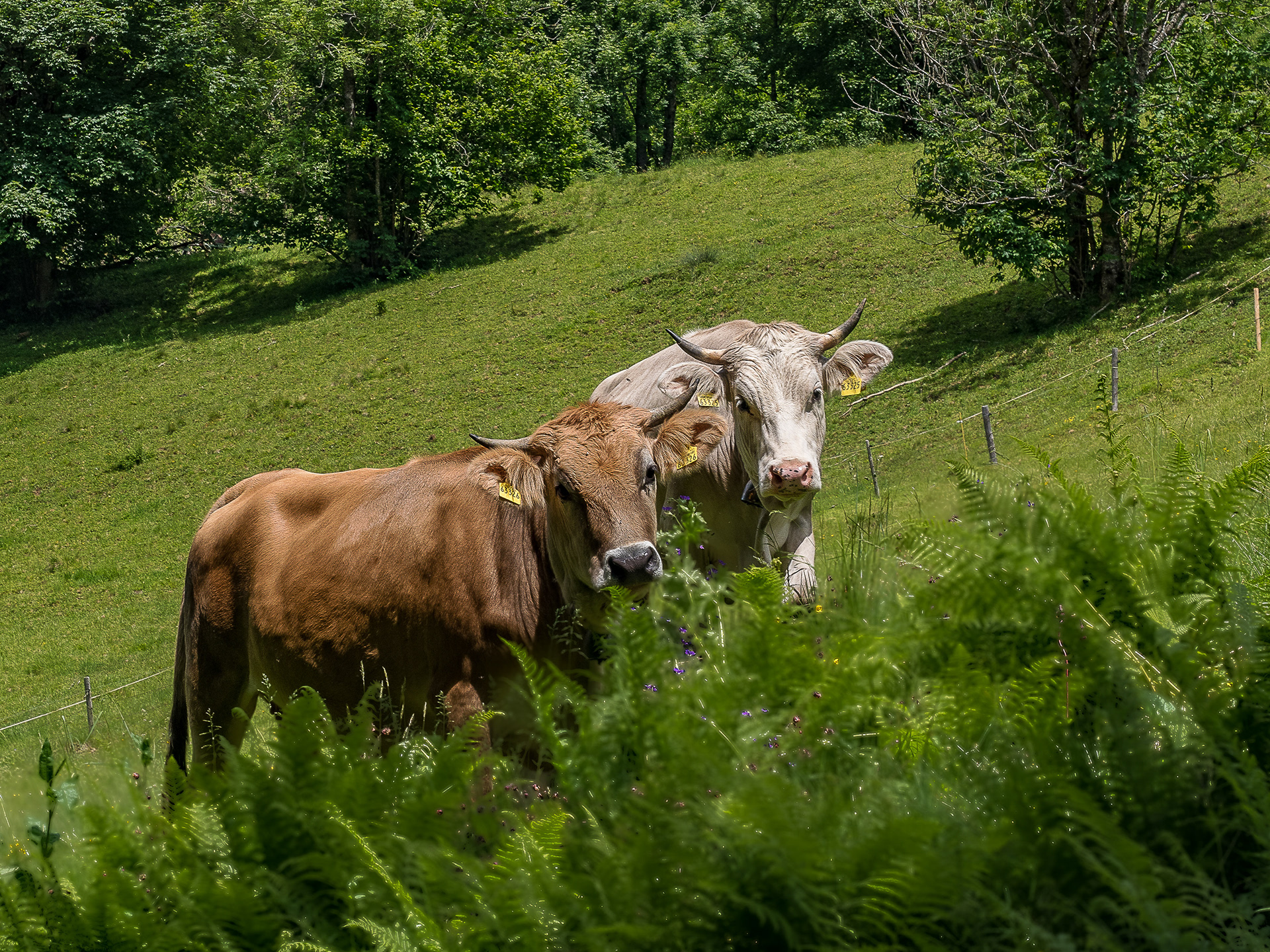 Tag 141: voyeuristischer Blick