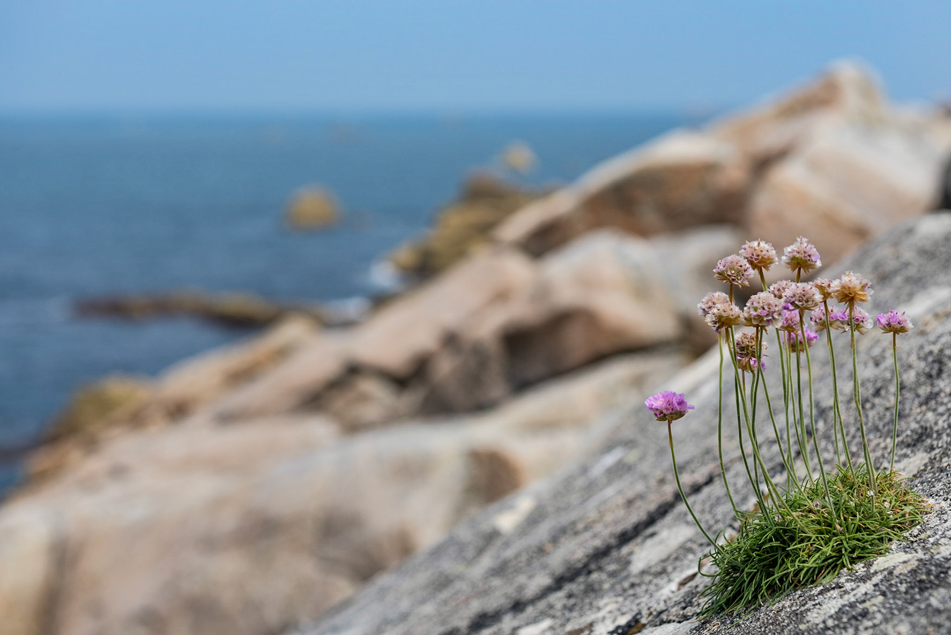 An der Küste von Plougrescant