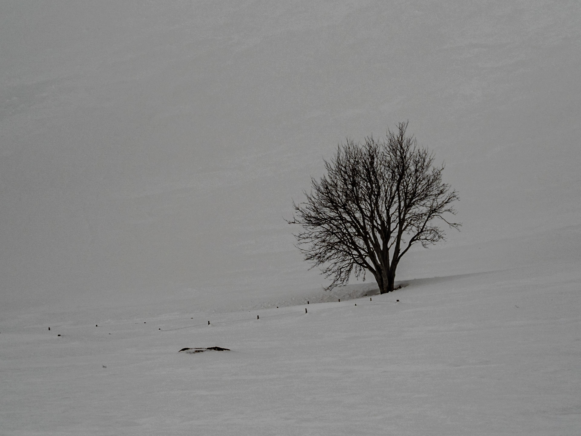 Einsam neben der Ringstraße