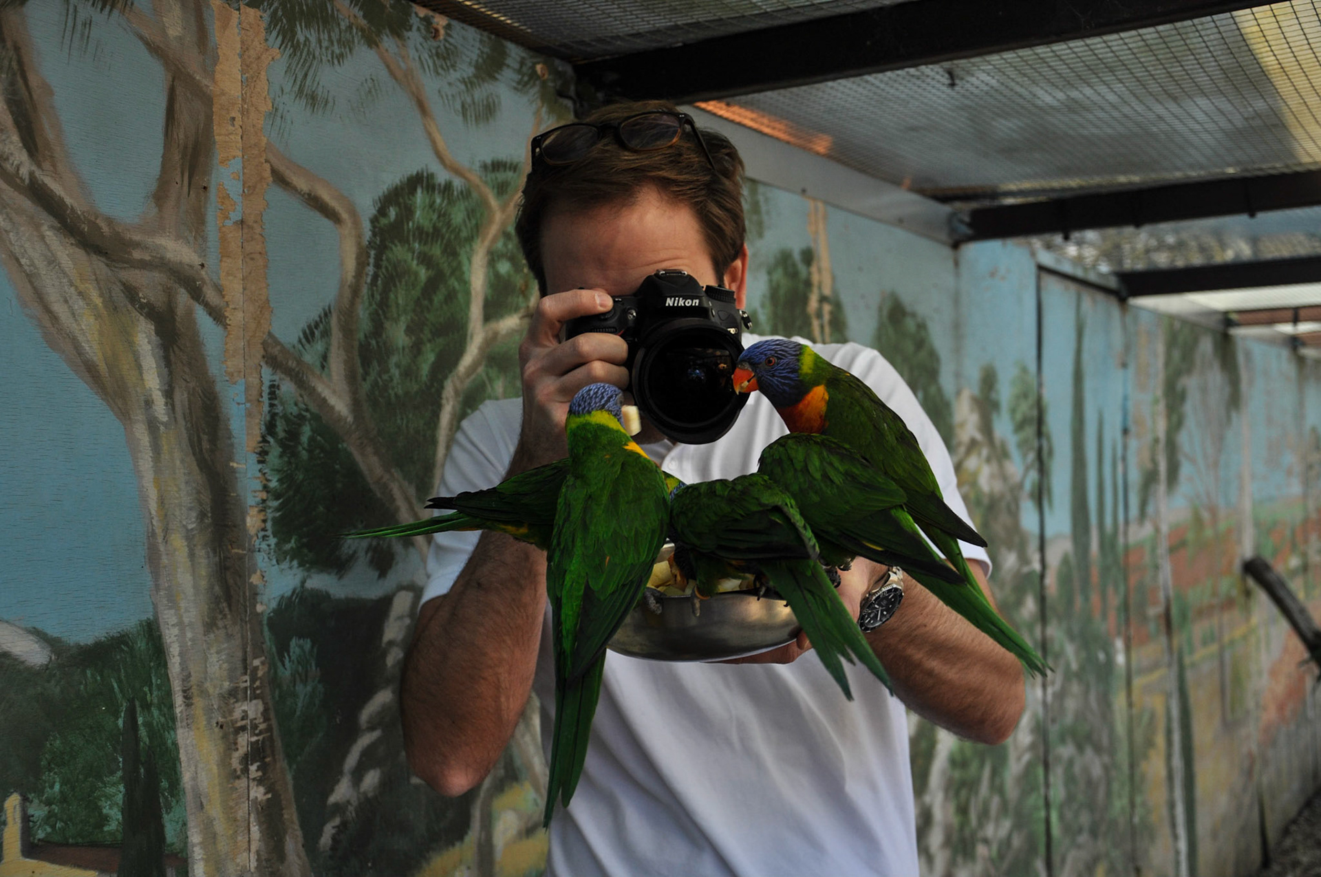 Fototrainer in action