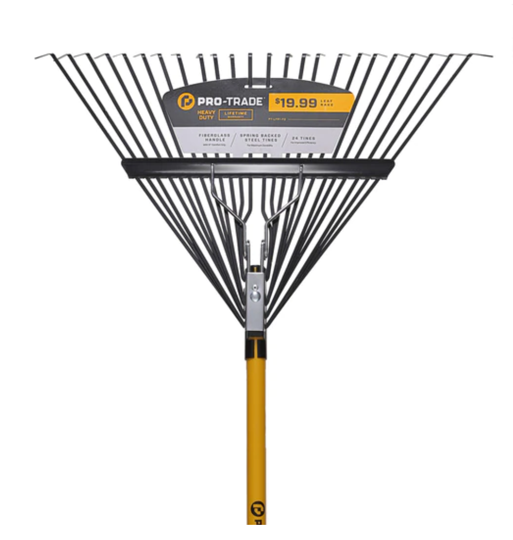 Rake Label  |  Art Director