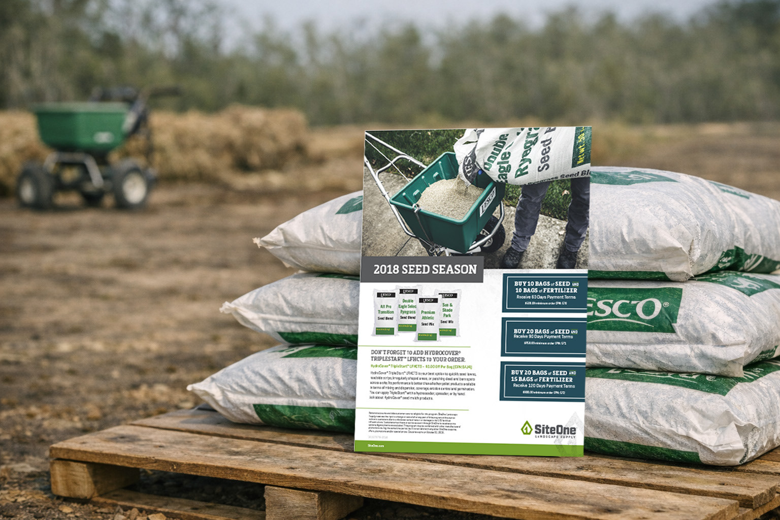 Seed EOP Flyer  |. Designer + Art Director