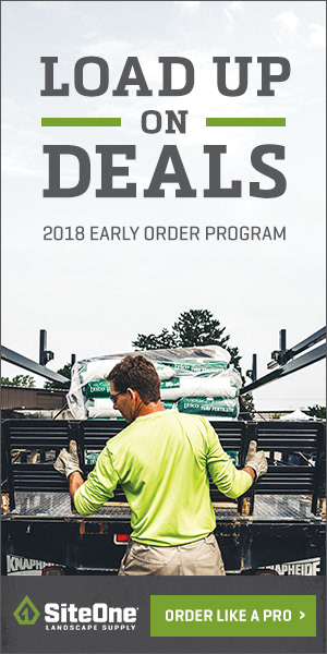 Digital Ad  |  Art DirectorDigital Ad