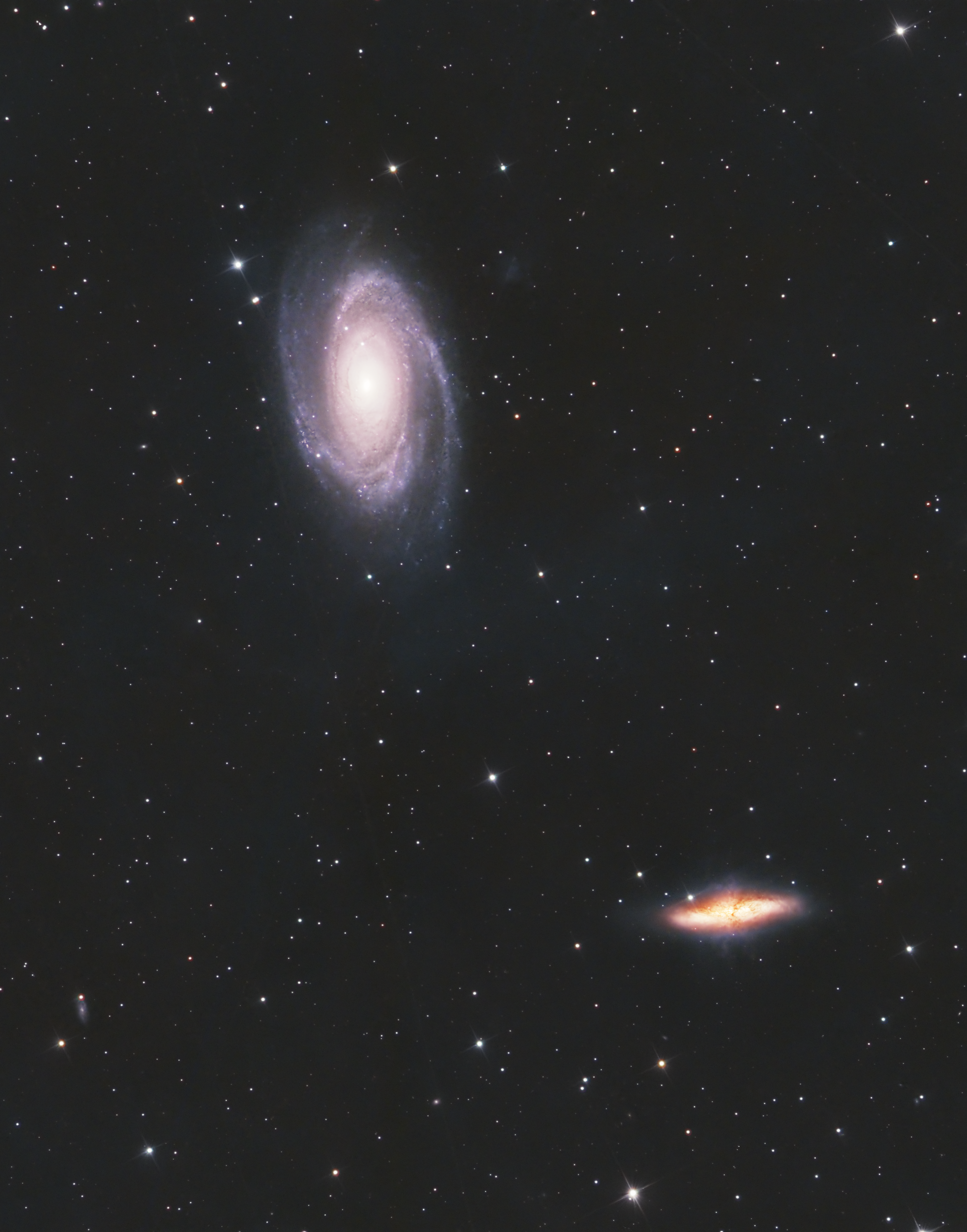 The Bode’s Galaxy (M81) and the Cigar Galaxy (M82) create a captivating cosmic duo in the constellation Ursa Major, approximately 12 million light-years away. M81 is a grand-design spiral galaxy, showcasing elegant spiral arms and a bright central bulge, while M82 is an irregular starburst galaxy, characterized by its elongated shape and intense star-forming activity. The gravitational interaction between these galaxies has triggered starbursts in M82, resulting in dramatic red hydrogen filaments and energetic outflows. A picture featuring M81 and M82 beautifully highlights the contrast between the calm, structured spiral of Bode’s Galaxy and the dynamic, turbulent nature of the Cigar Galaxy, offering a glimpse into the effects of galactic encounters.