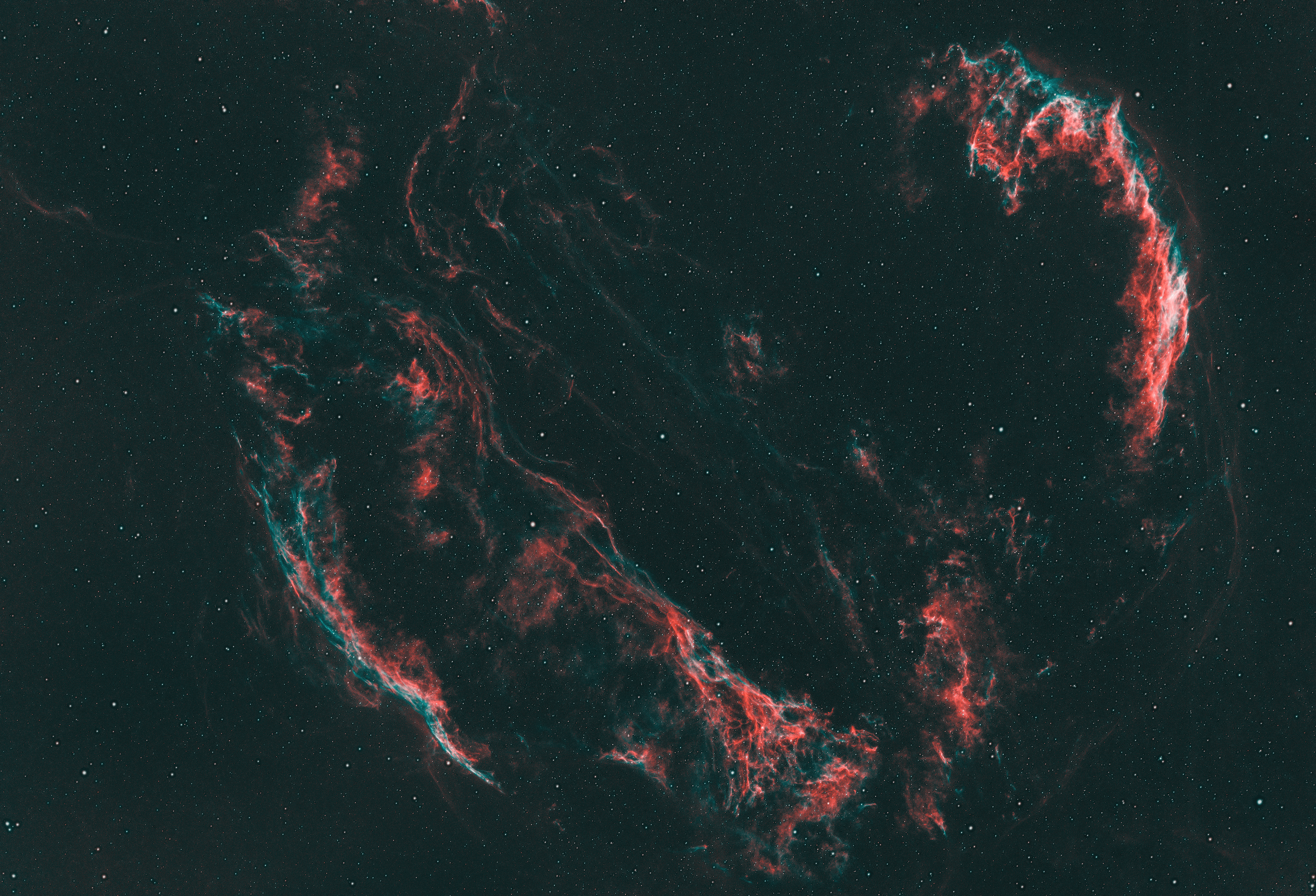 The Veil Nebula, also known as NGC 6960 and sometimes referred to as the Cygnus Loop, is a breathtaking supernova remnant located approximately 2,400 light-years away in the constellation Cygnus (the Swan). It is the glowing remains of a massive star that exploded in a supernova event around 10,000 years ago. The nebula spans about 110 light-years and features delicate, wispy filaments of ionized gas, which give it the appearance of a translucent veil draped across the sky. The intricate structures and vivid colors result from shockwaves interacting with the interstellar medium, energizing elements such as hydrogen, oxygen, and sulfur. The Veil Nebula offers a unique glimpse into the life cycle of stars and the impact of supernovae on their surrounding environments.
