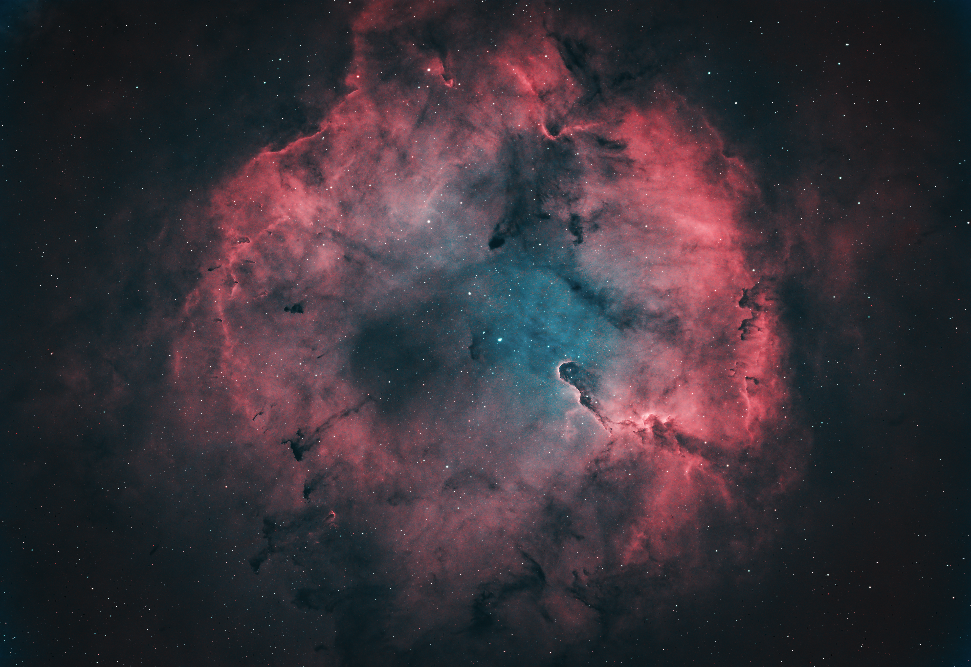 The Elephant’s Trunk Nebula, formally known as IC 1396A, is a striking concentration of interstellar gas and dust located within the IC 1396 emission nebula and star cluster in the constellation Cepheus, approximately 2,400 light-years from Earth. This dark, sinuous formation resembles an elephant’s trunk, giving the nebula its name. The structure is a stellar nursery, housing young, massive stars that carve out intricate shapes through powerful stellar winds and radiation. The Elephant’s Trunk Nebula is a fascinating region of ongoing star formation, where dense globules of gas collapse under gravity, potentially giving birth to new stars.