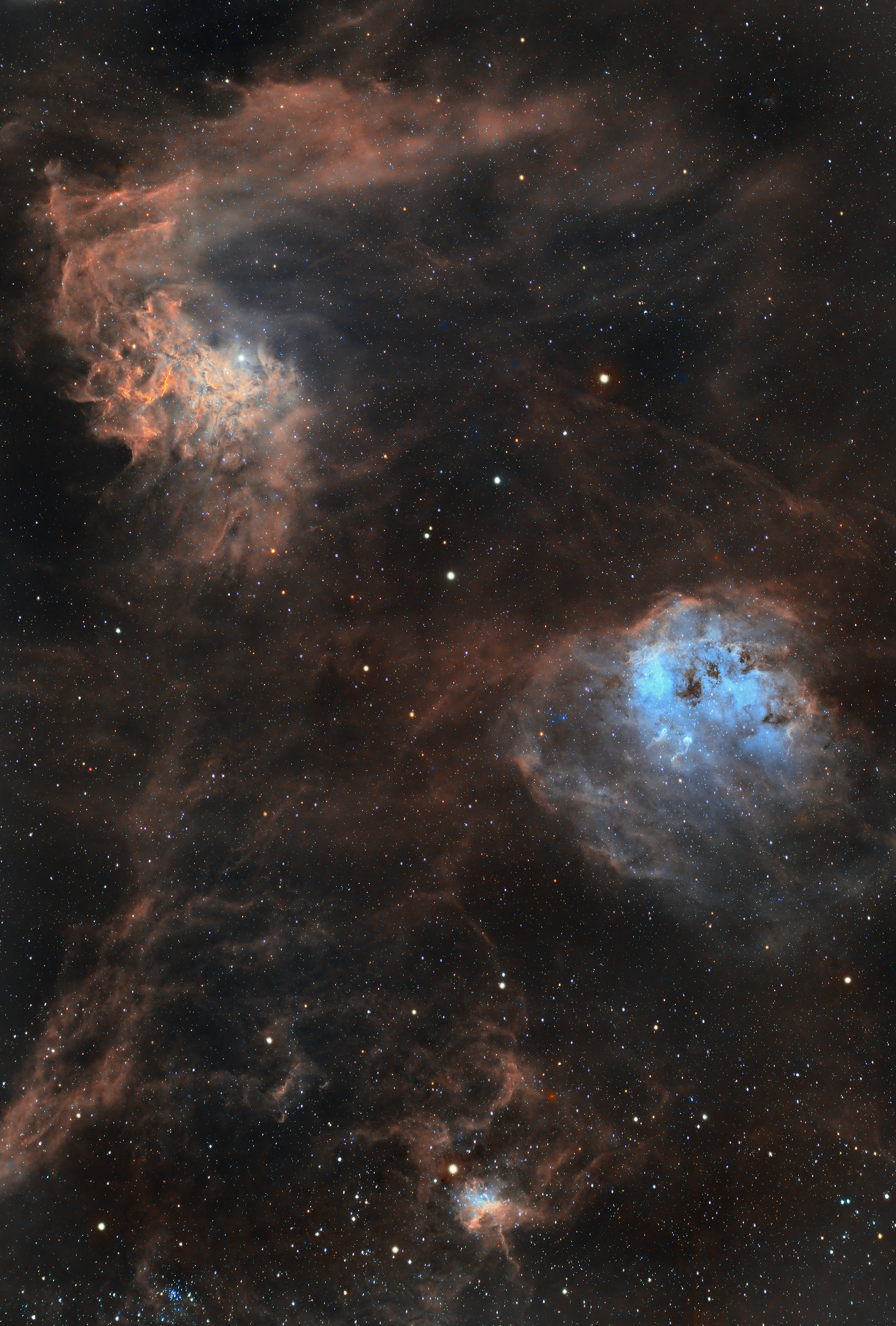 The image captures the Flaming Star Nebula (IC 405) and the Tadpole Nebula (IC 410) glowing side by side in the Auriga constellation. The Flaming Star Nebula shines with fiery red and cool blue hues around the bright star AE Aurigae, while the Tadpole Nebula features soft, luminous gas with its signature “tadpole” structures silhouetted against the vibrant backdrop. The star-studded field adds depth and a sense of cosmic scale to this beautiful pairing of stellar nurseries.