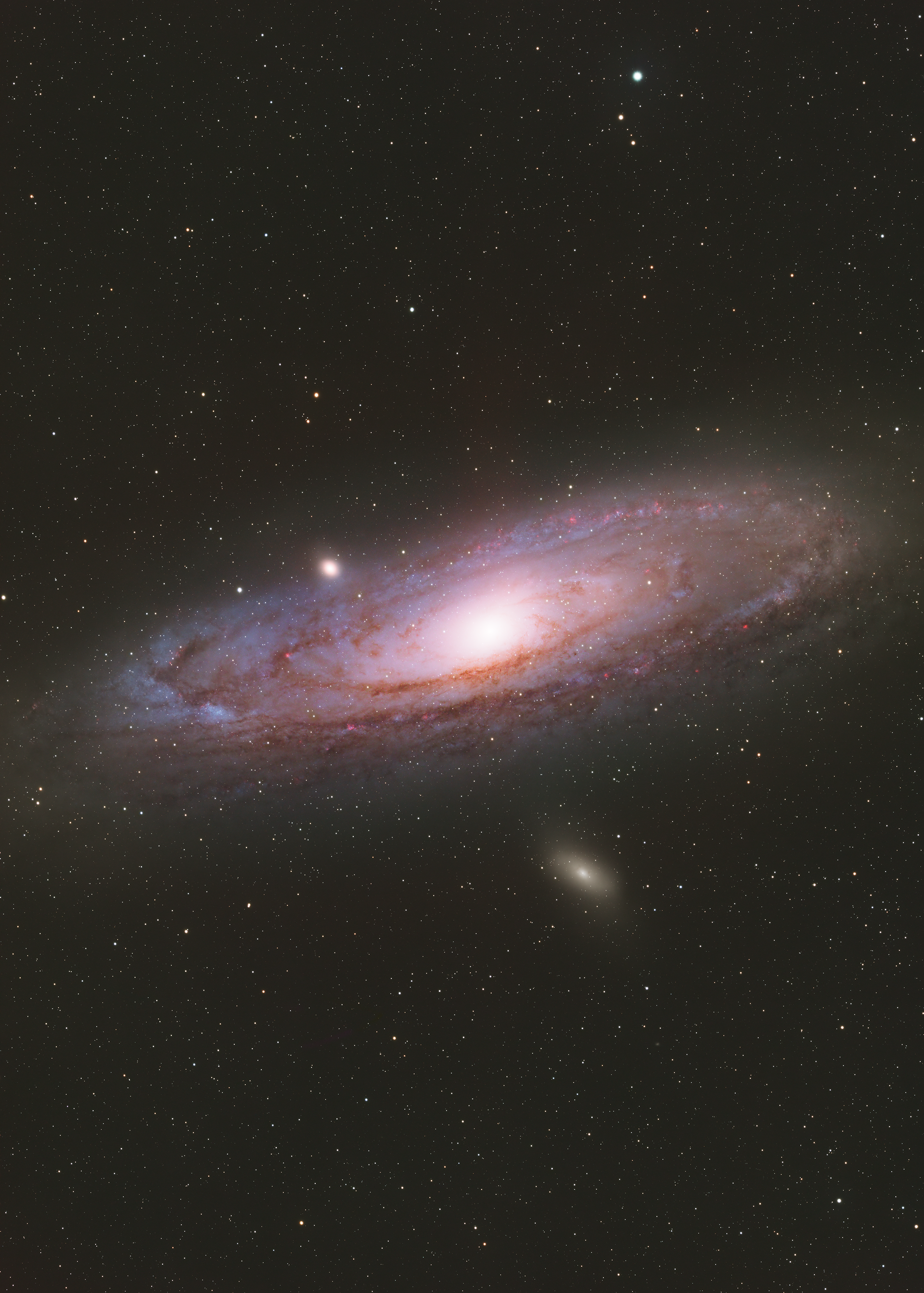 The Andromeda Galaxy, also known as M31, is the nearest spiral galaxy to our own Milky Way, located approximately 2.5 million light-years away in the constellation Andromeda. It is the largest galaxy in the Local Group, spanning about 220,000 light-years and containing trillions of stars. The Andromeda Galaxy shares a similar spiral structure with the Milky Way, featuring a bright central bulge, sweeping spiral arms, and a surrounding halo of older stars and globular clusters. It is on a collision course with our galaxy, with the two expected to merge in about 4.5 billion years, forming a new elliptical galaxy often dubbed “Milkomeda”. Andromeda is one of the few galaxies visible to the naked eye, appearing as a faint, elongated smudge in dark skies.