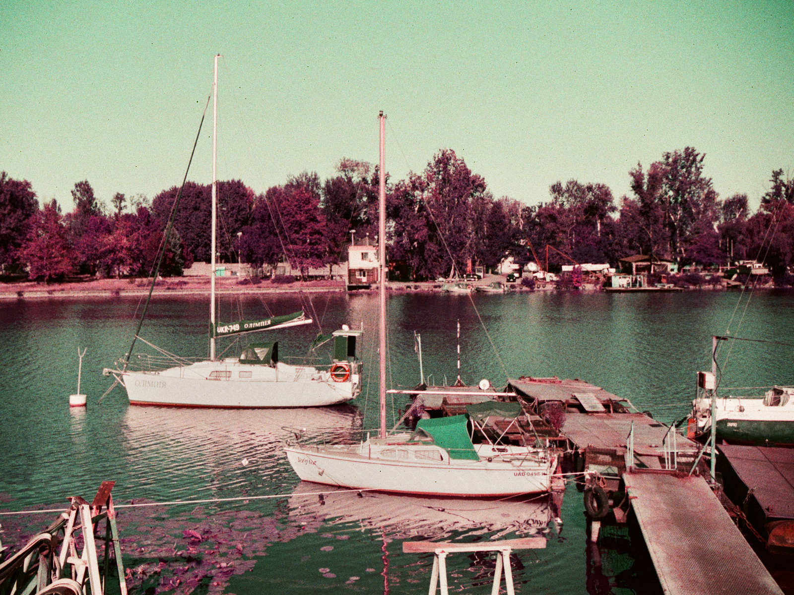 2025, LomoChrome Purple XR 100