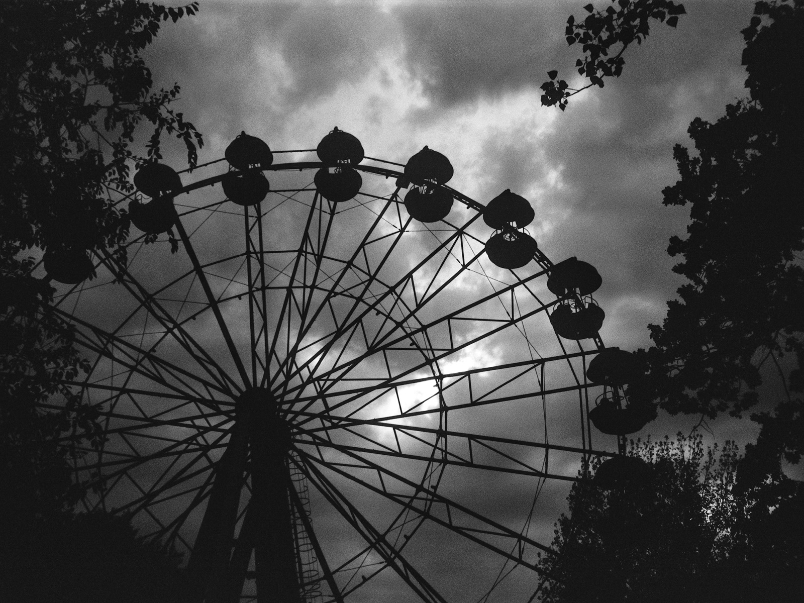 2025, Rollei Infrared 400