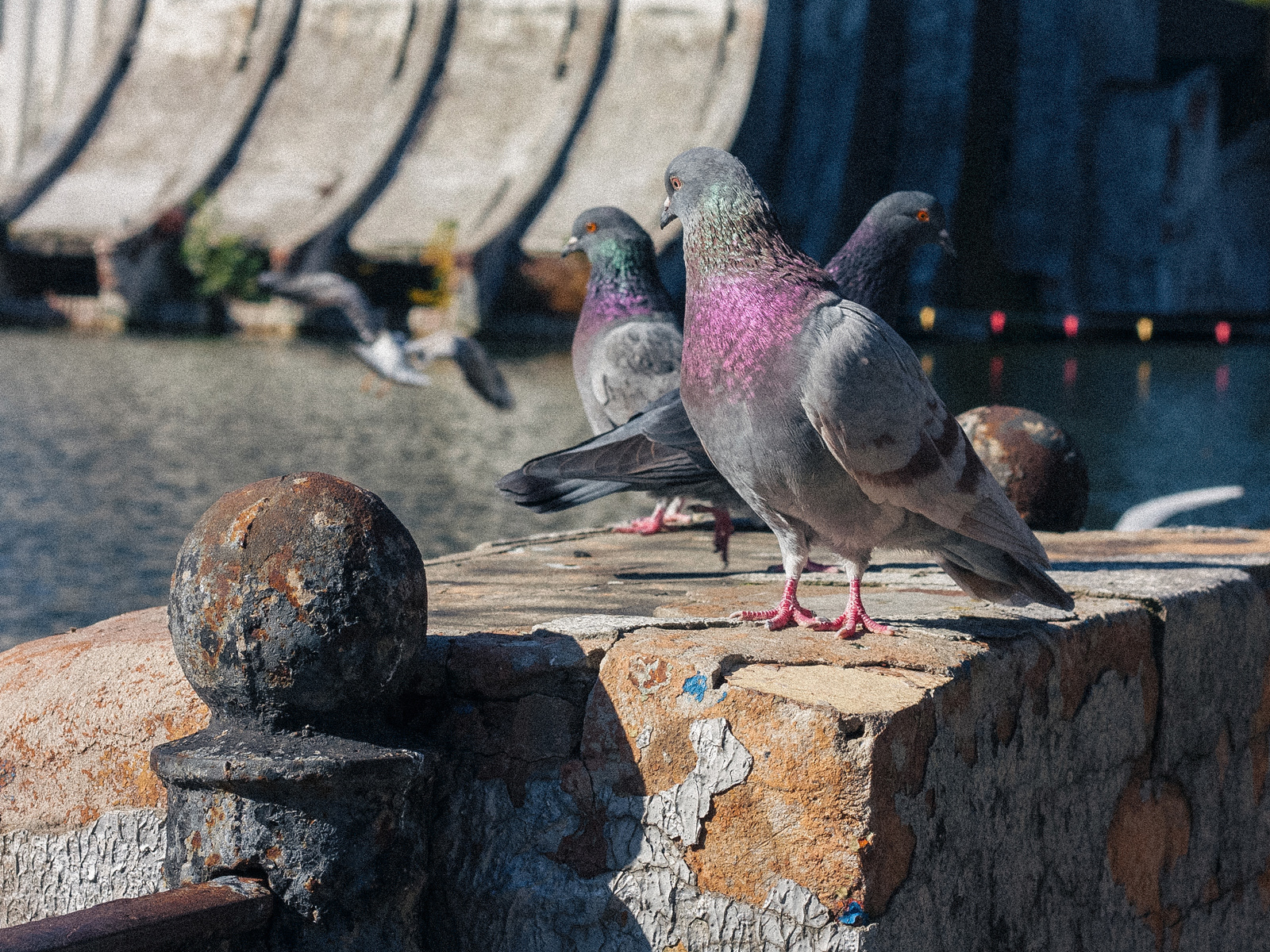 "Тризуб", 2022