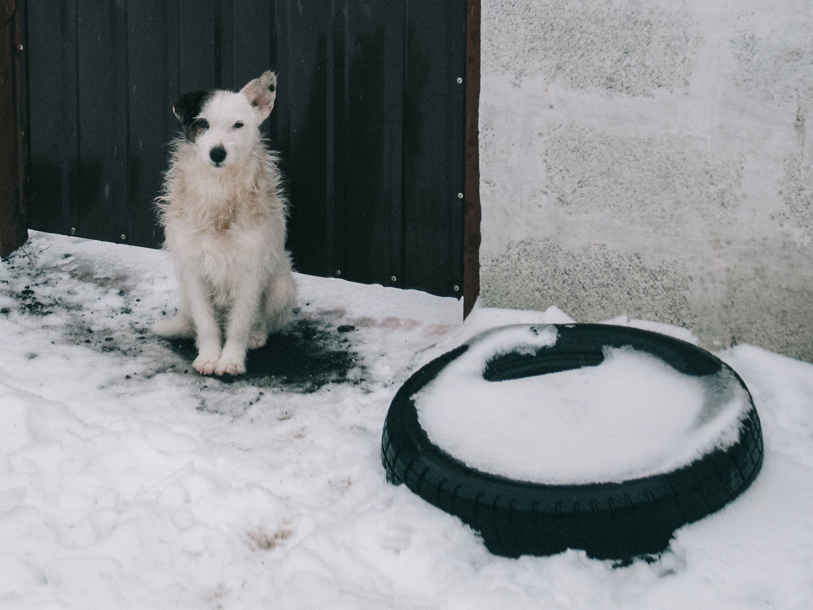 "Я дочекаюся...", 2021
