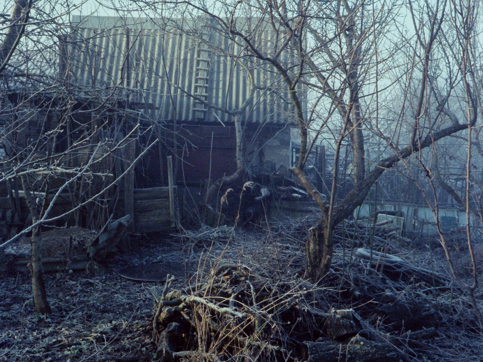 2025, Kodak Vision3 500T