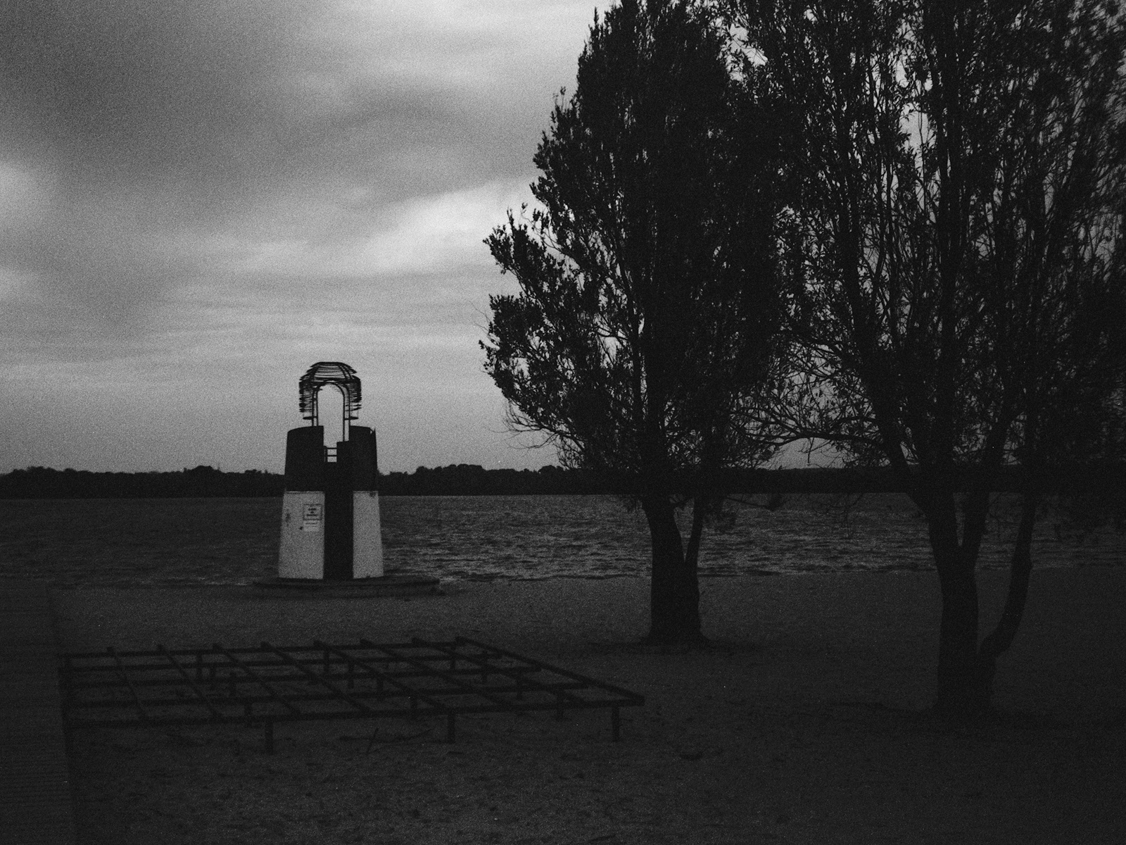 2025, Rollei Infrared 400