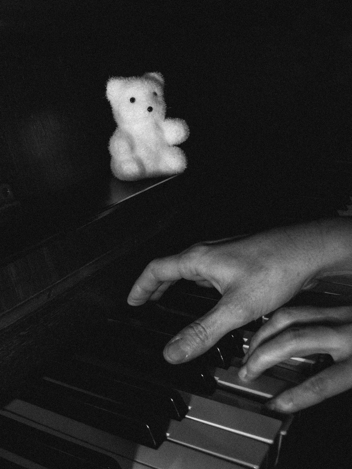 "Music lover", 2021