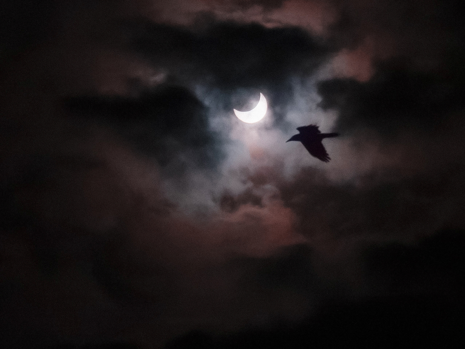 Solar eclipse 25.10.2022